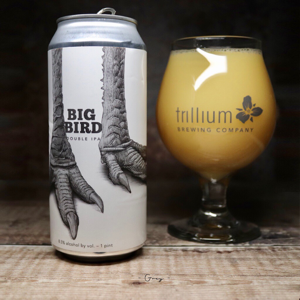 Big Bird, United States