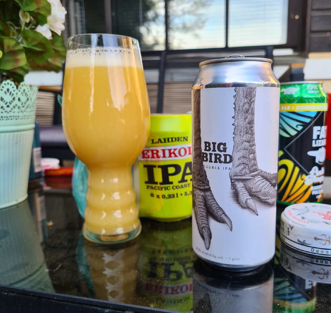 Big Bird, United States