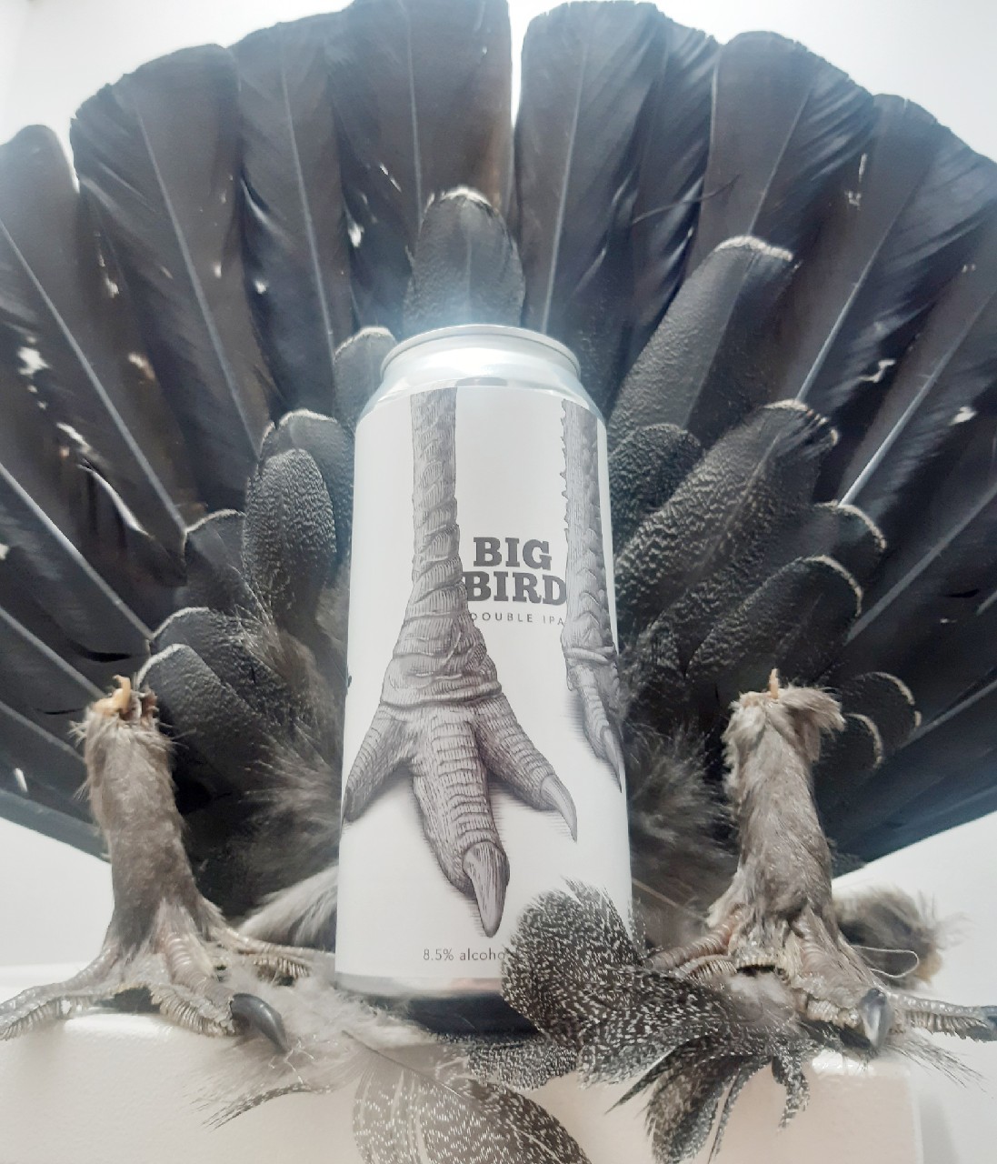 Big Bird, United States