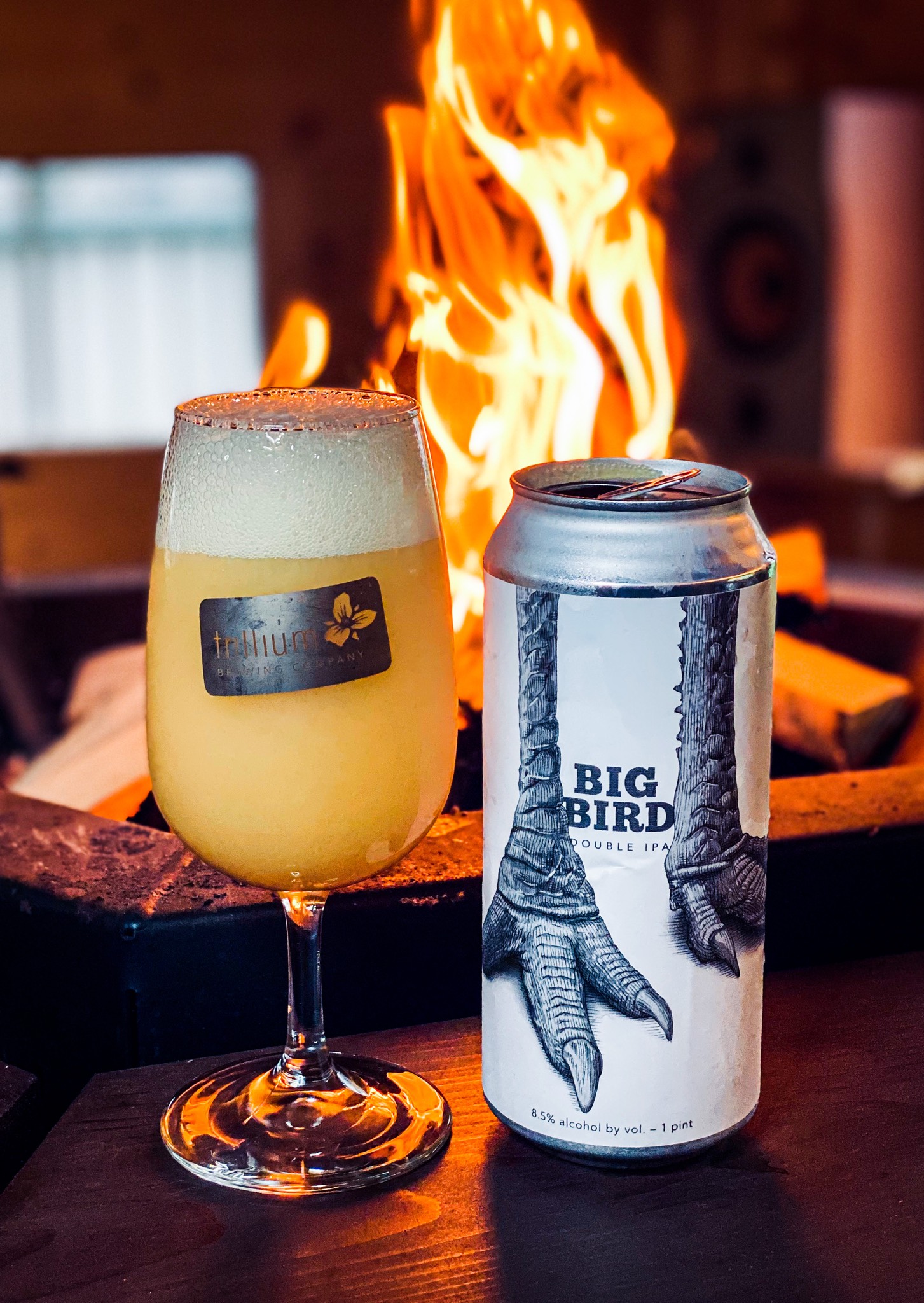 Big Bird, United States