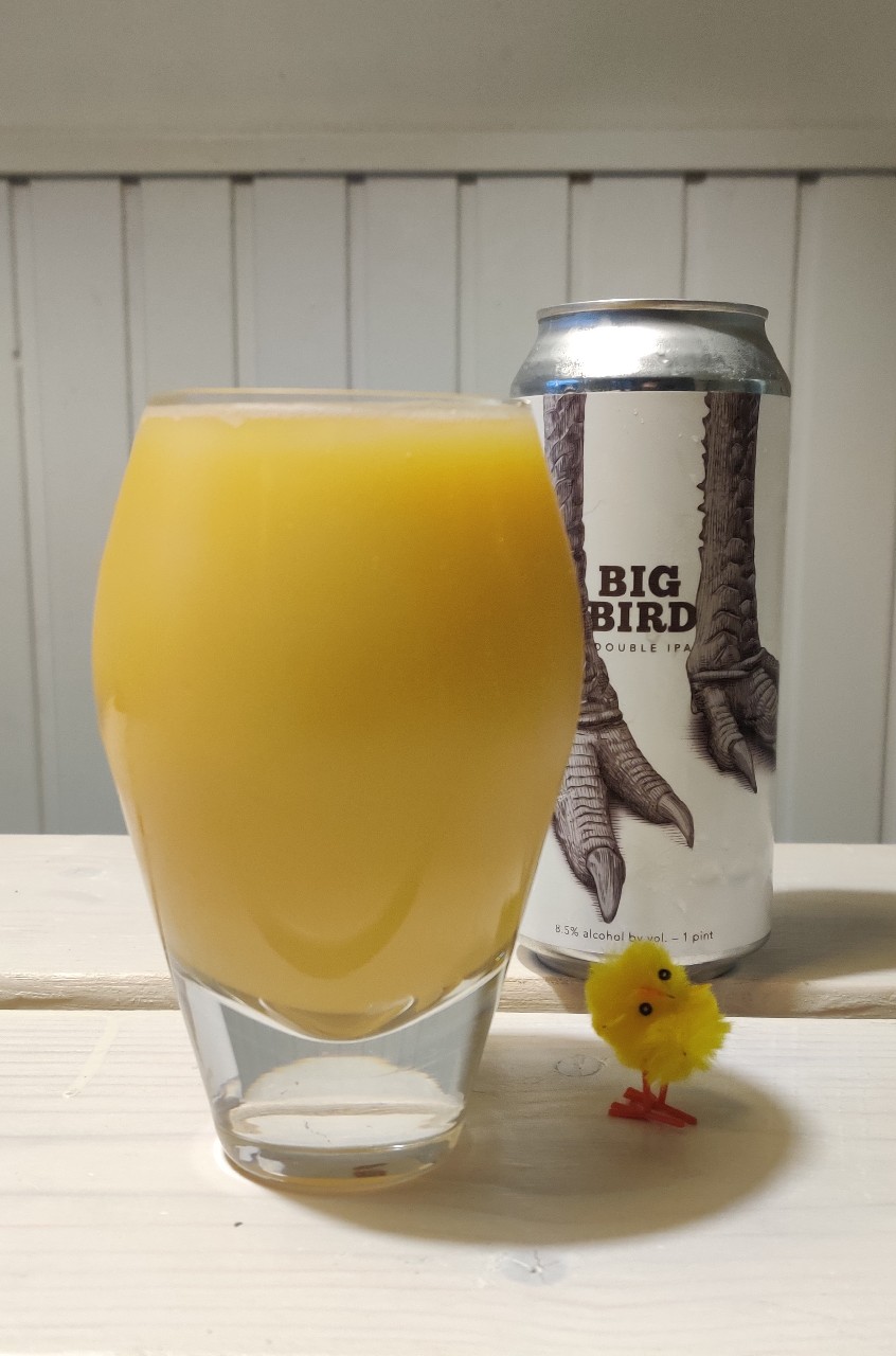 Big Bird, United States