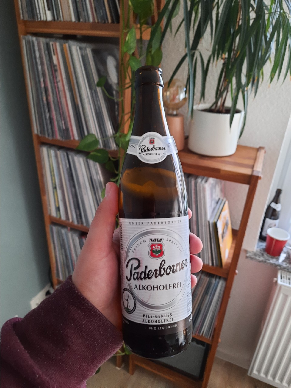 Paderborner Alkoholfrei, Germany