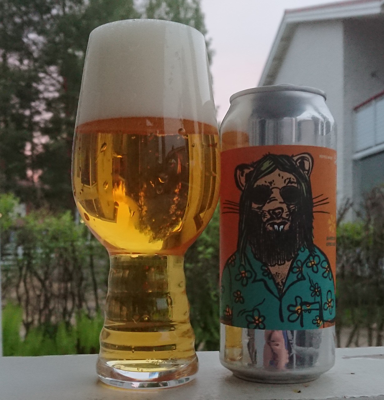 Shreddy Kreuger, United States