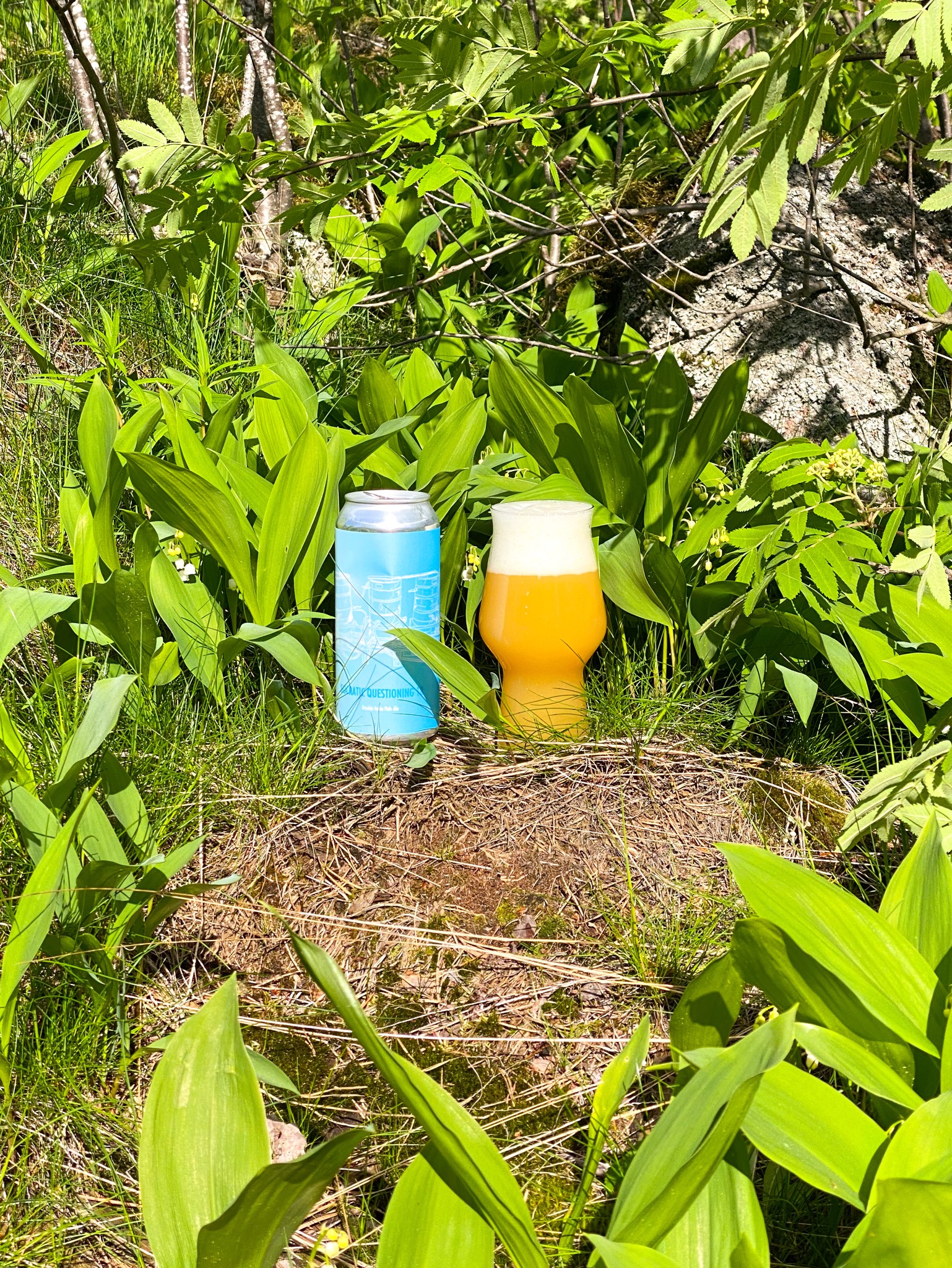 Socratic Questioning 18, United States