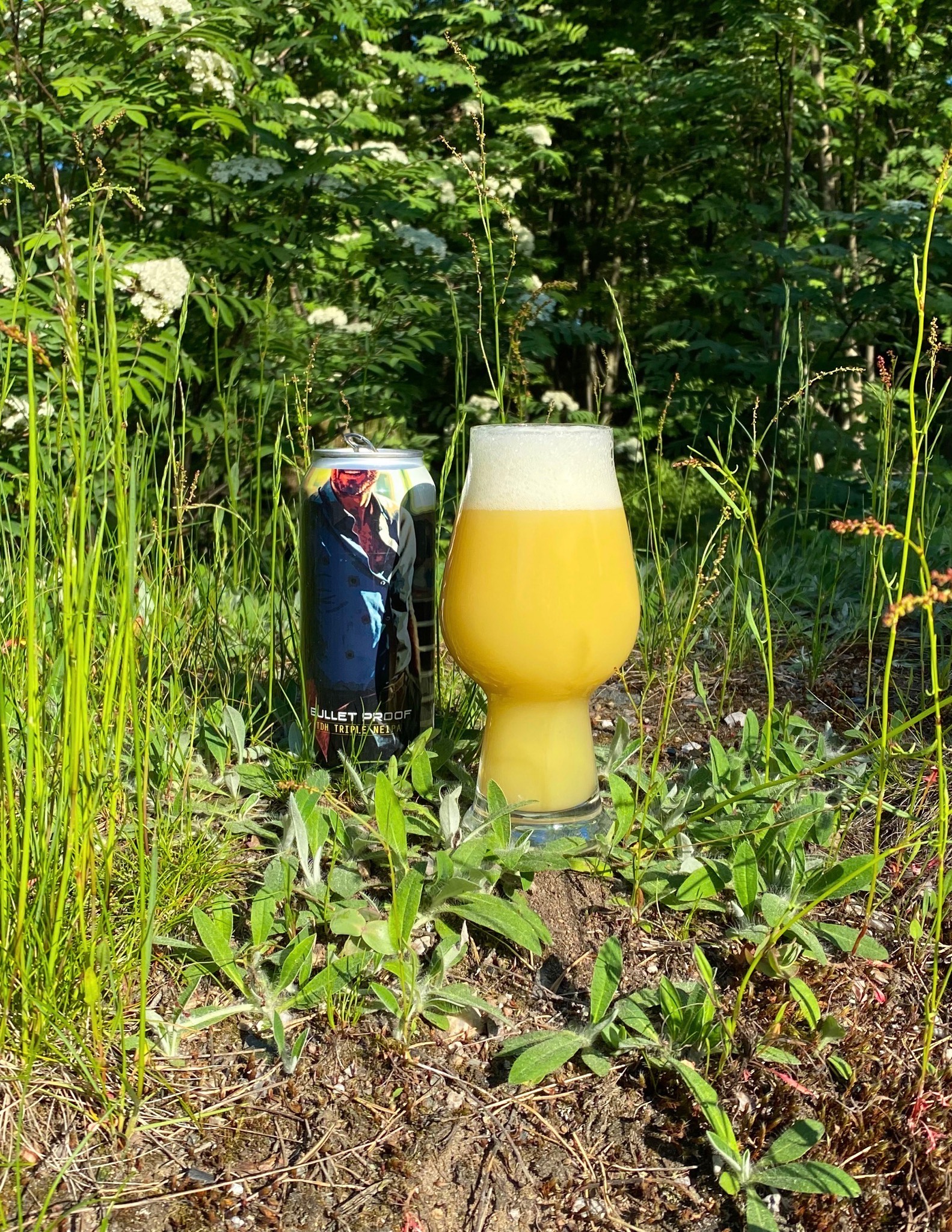 Bullet Proof, Brazil