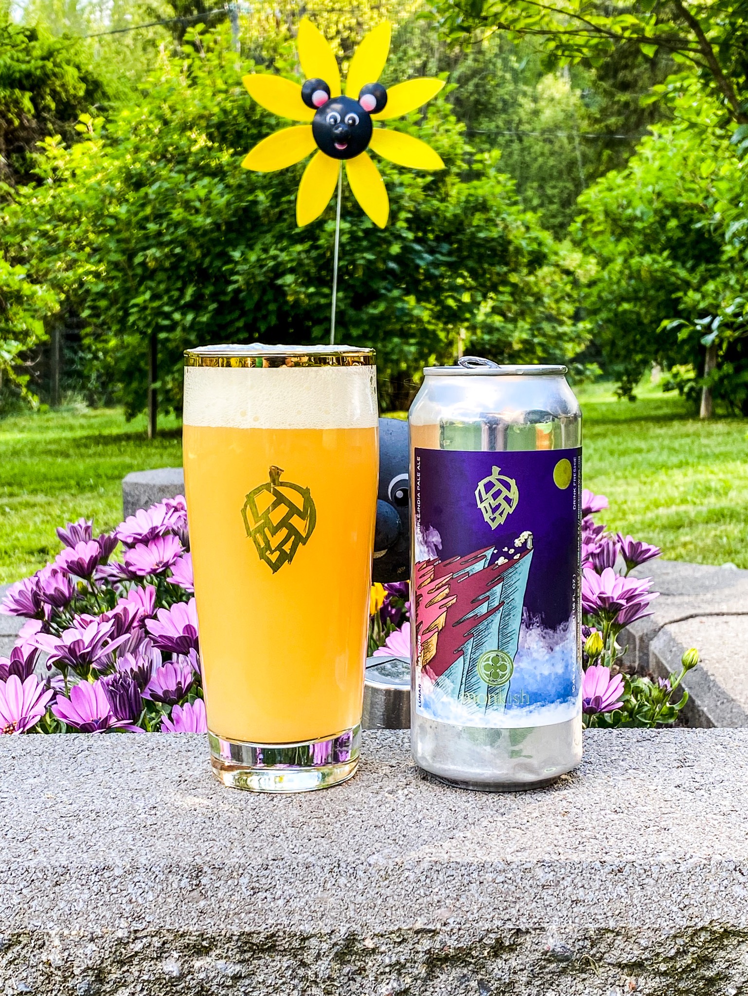 Lunar Aspirations, United States