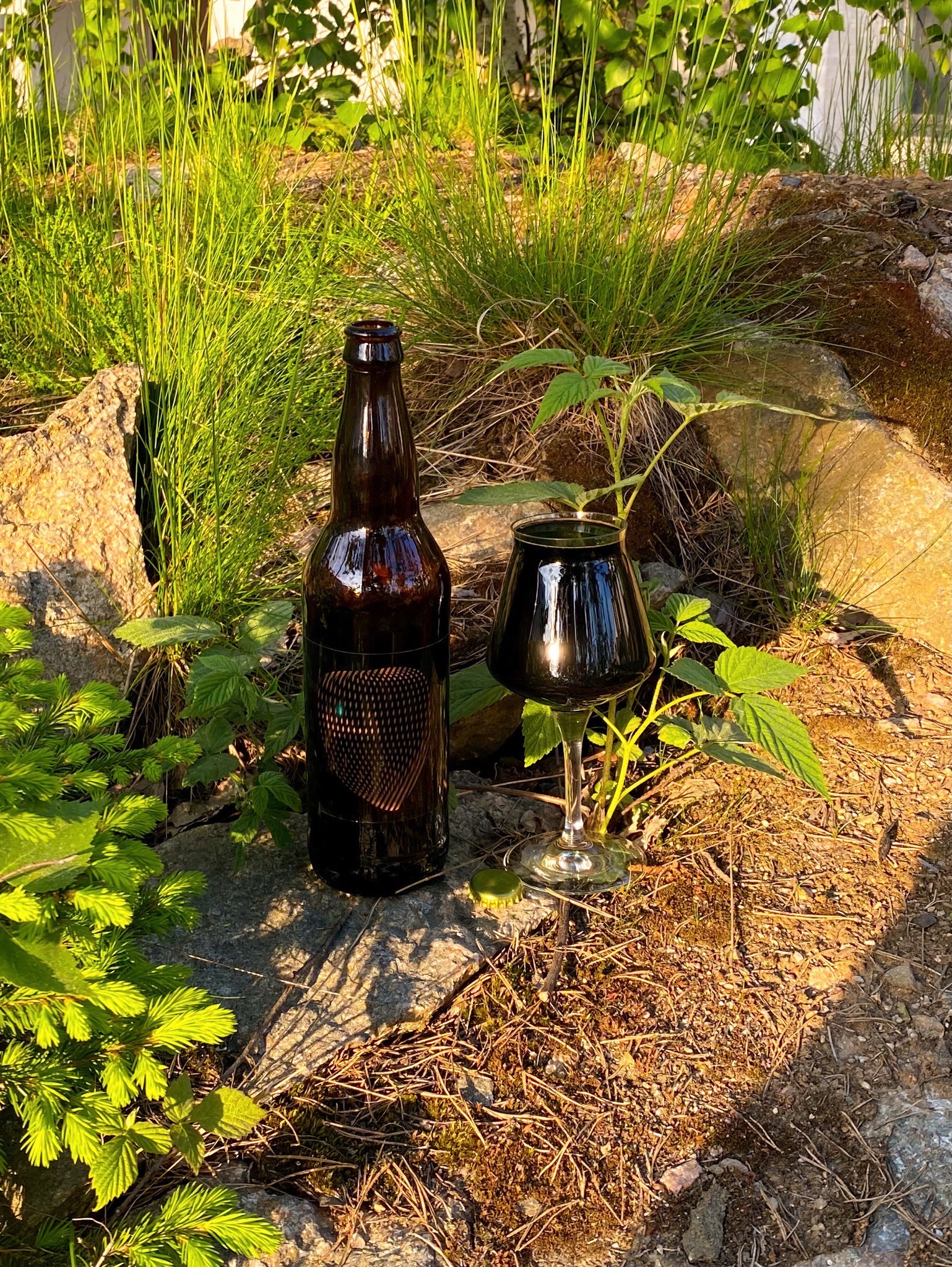 Barrel-aged Hazelnut Imperial Stout (2018), United States