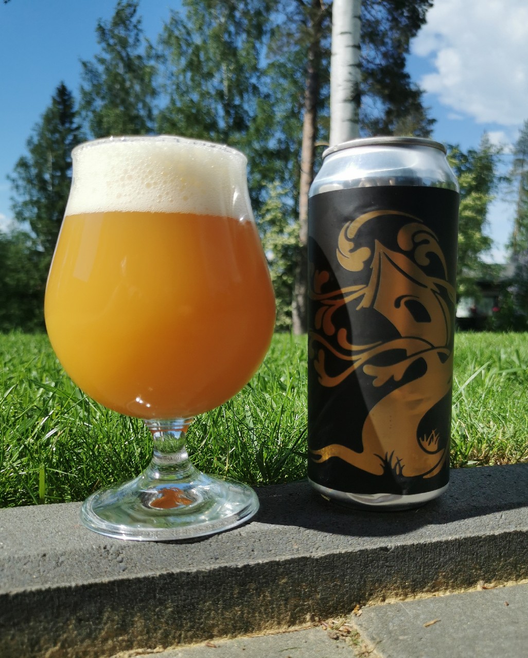 Force of Will, United States