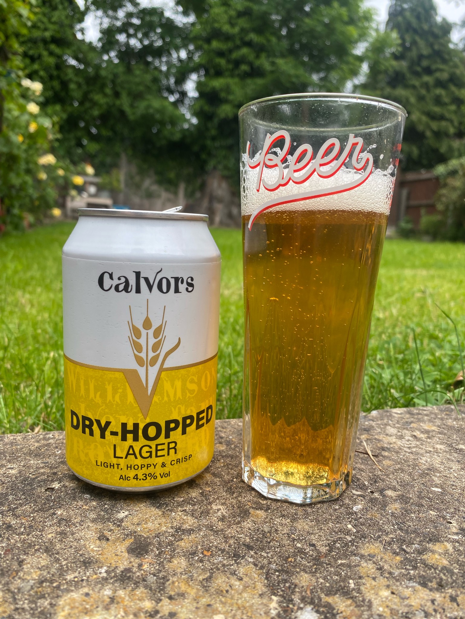 Dry-Hopped Lager, England