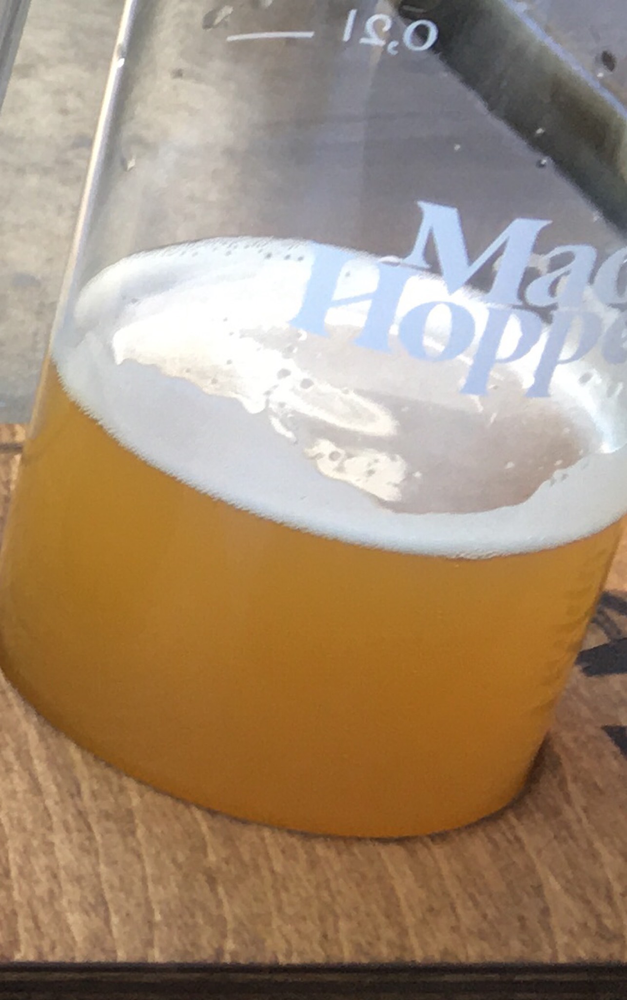 Hoppy Ending, Finland