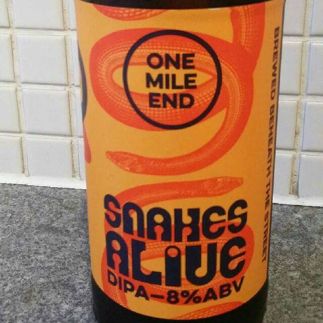 Snakes Alive, England