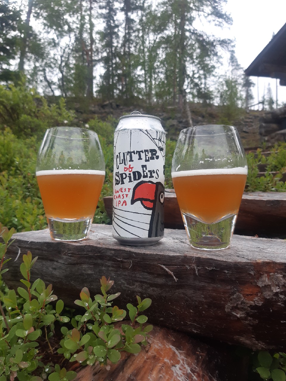 Clutter of Spiders, United States