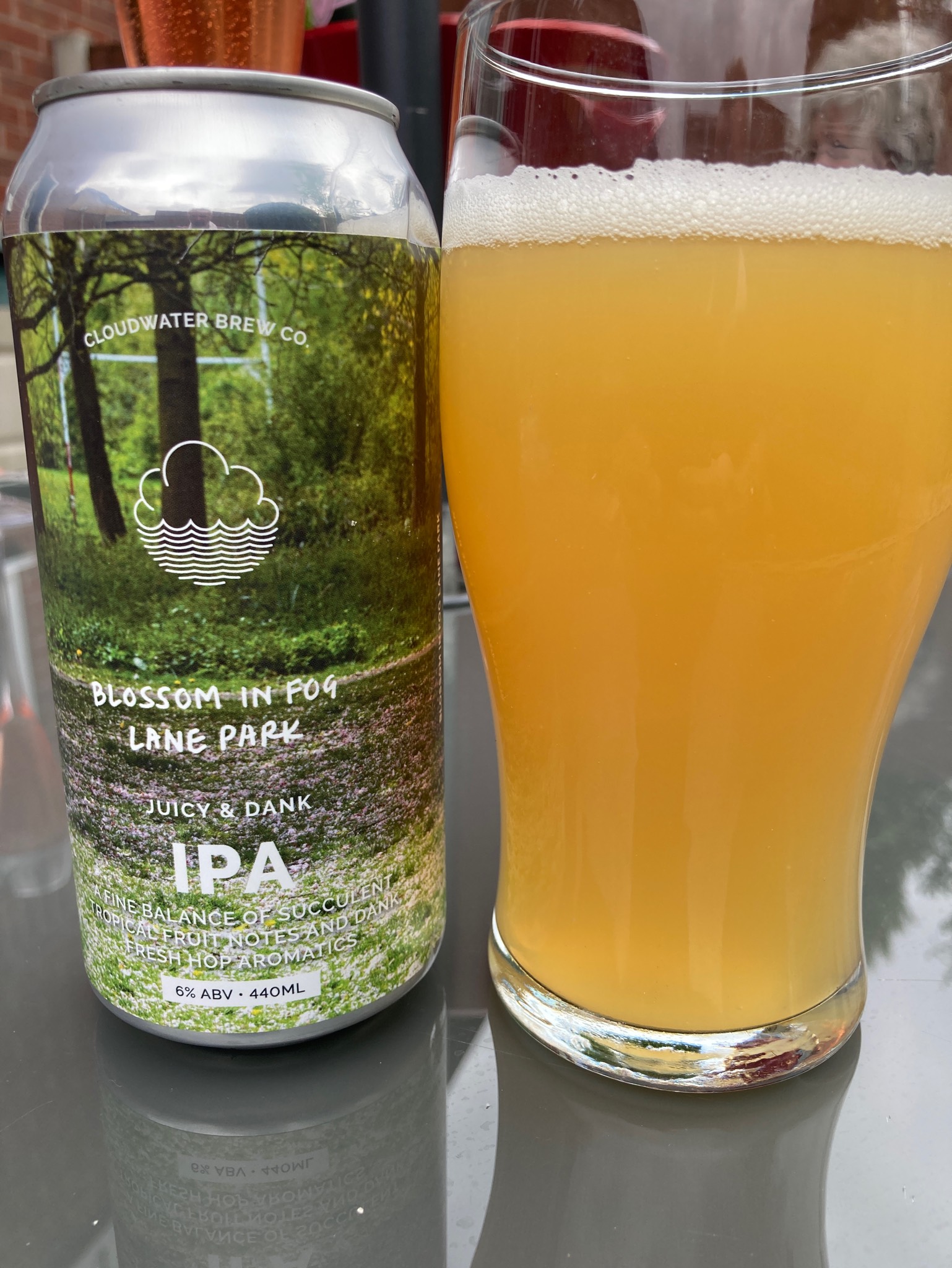 Blossom In Fog Lane Park, England