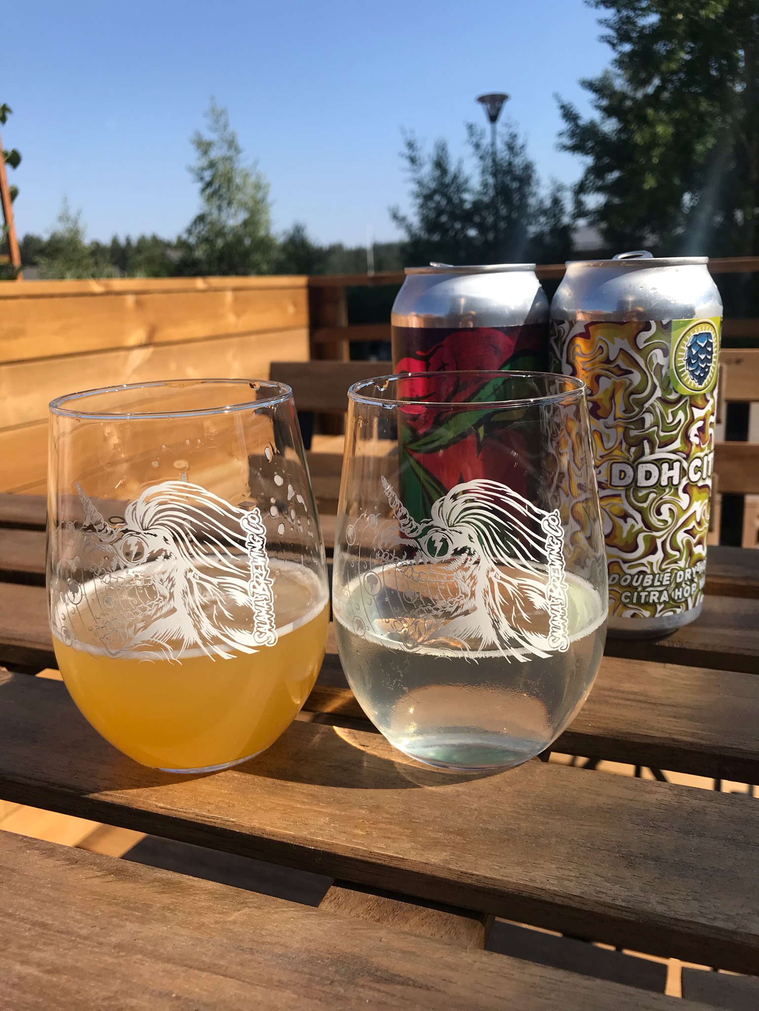 DDH Citra, Finland