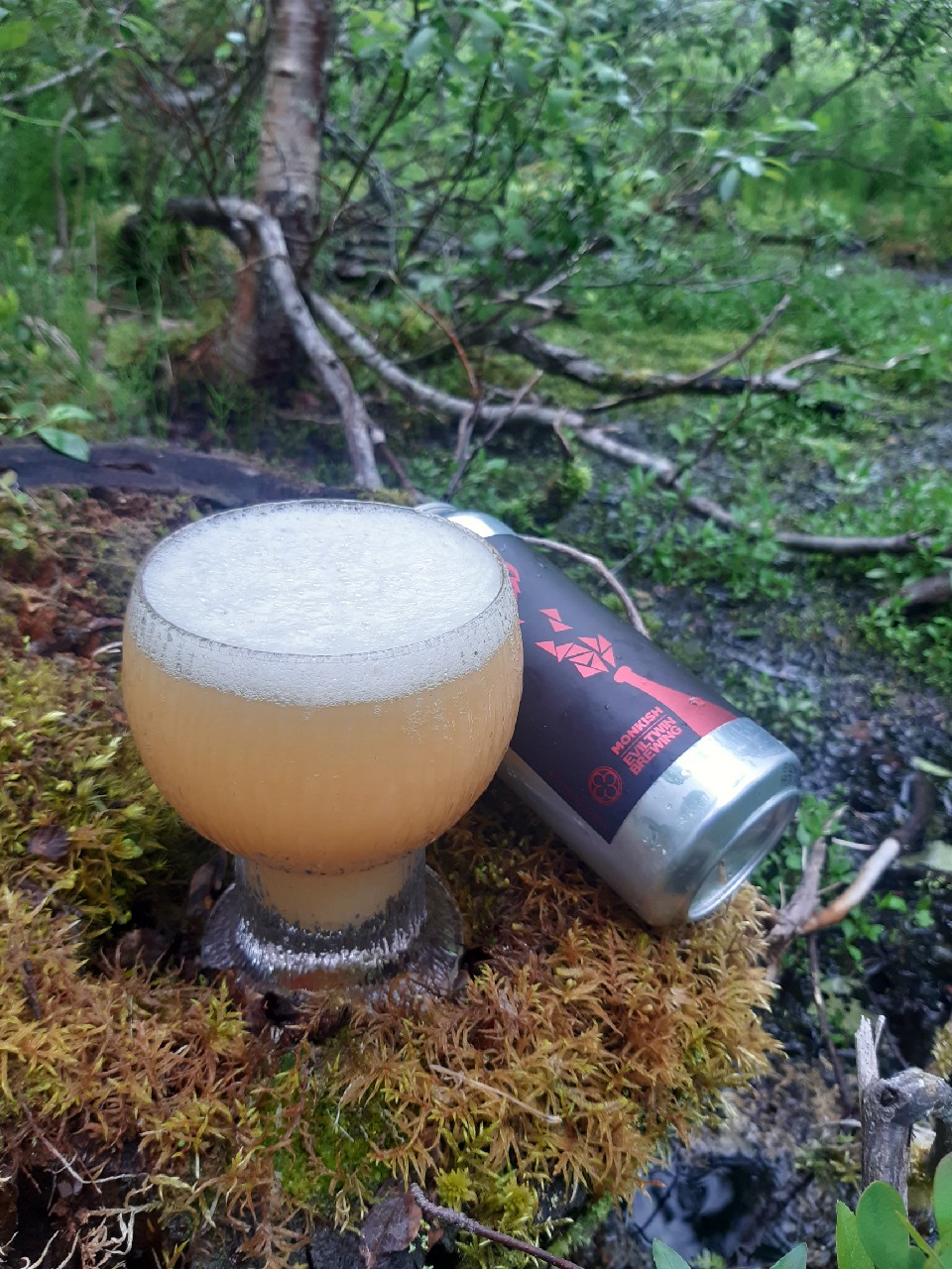 Molotovish Fun, United States