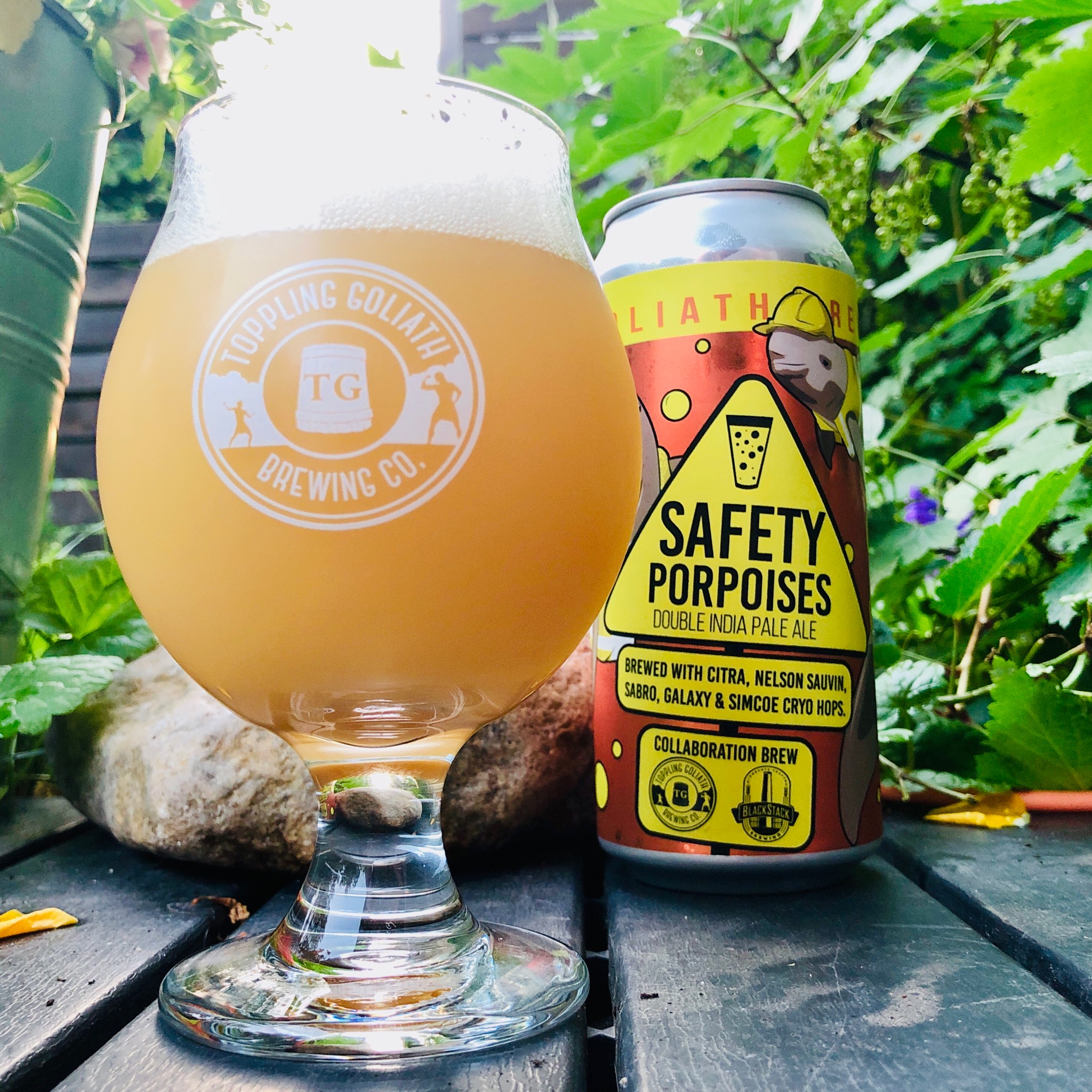 Safety Porpoises, United States