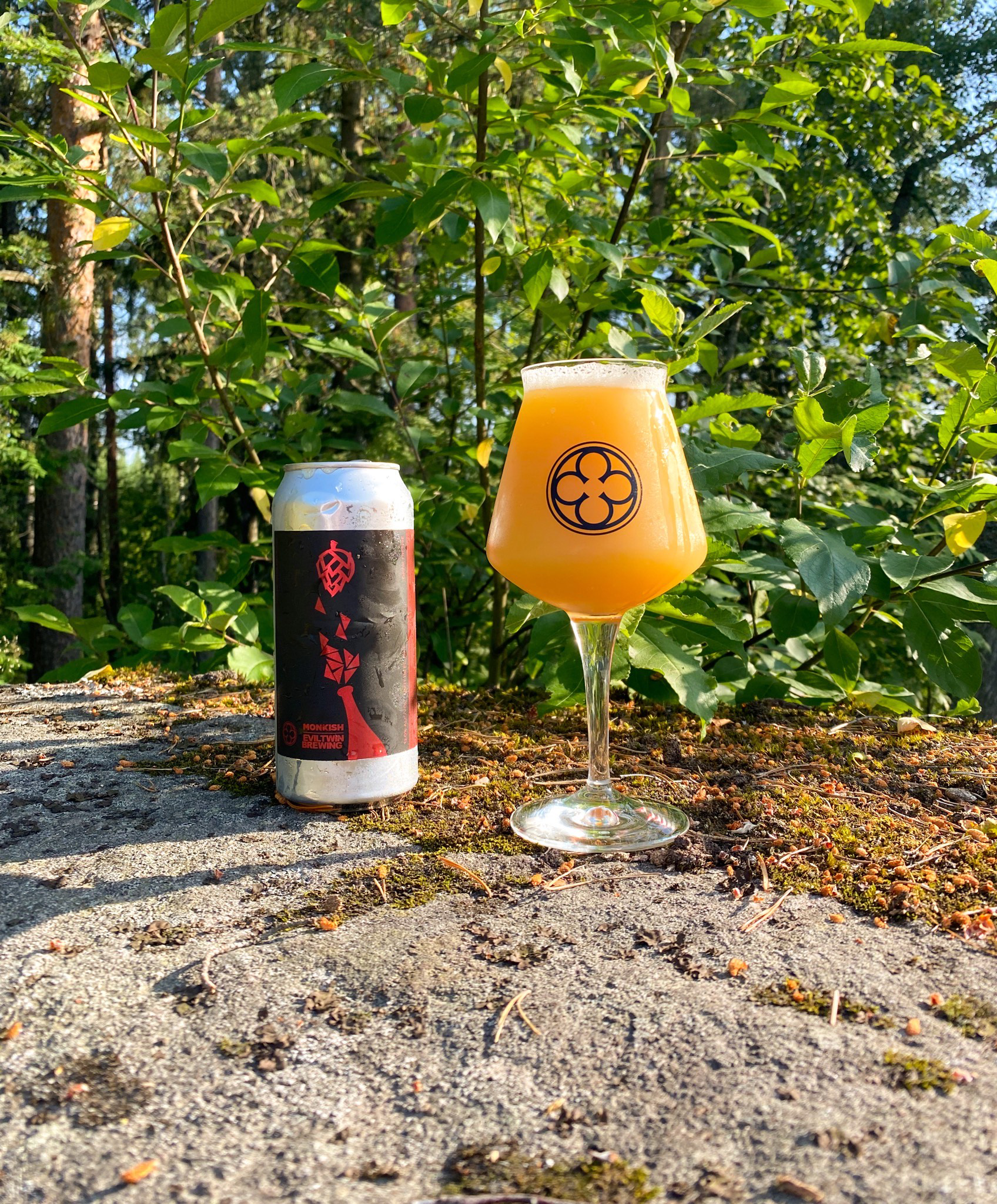 Molotovish Fun, United States