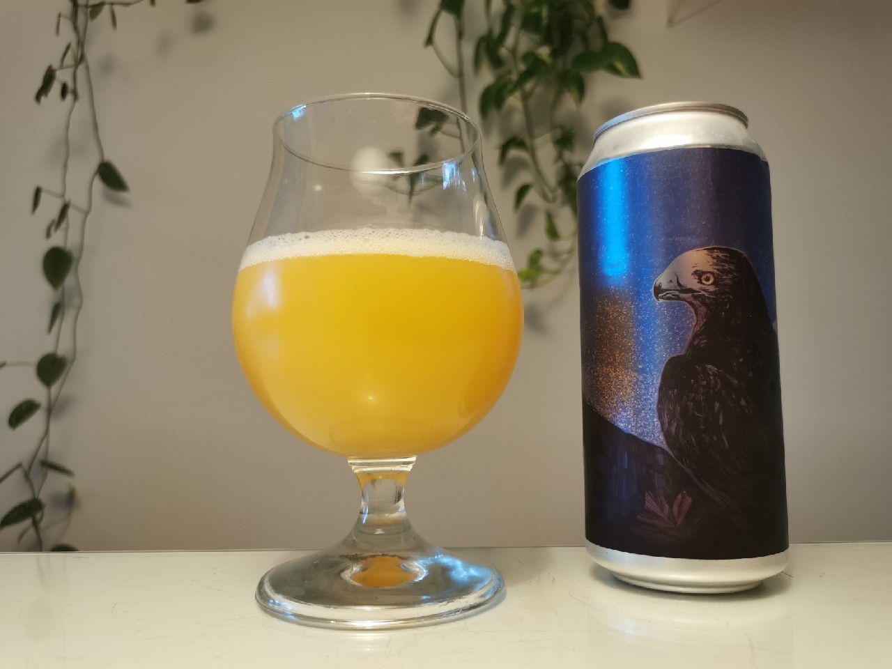 Brighter Than Starlight, United States