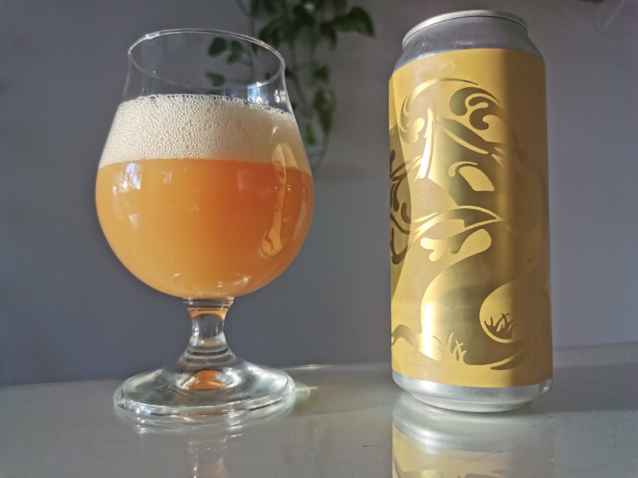 Beginner's Mind, United States