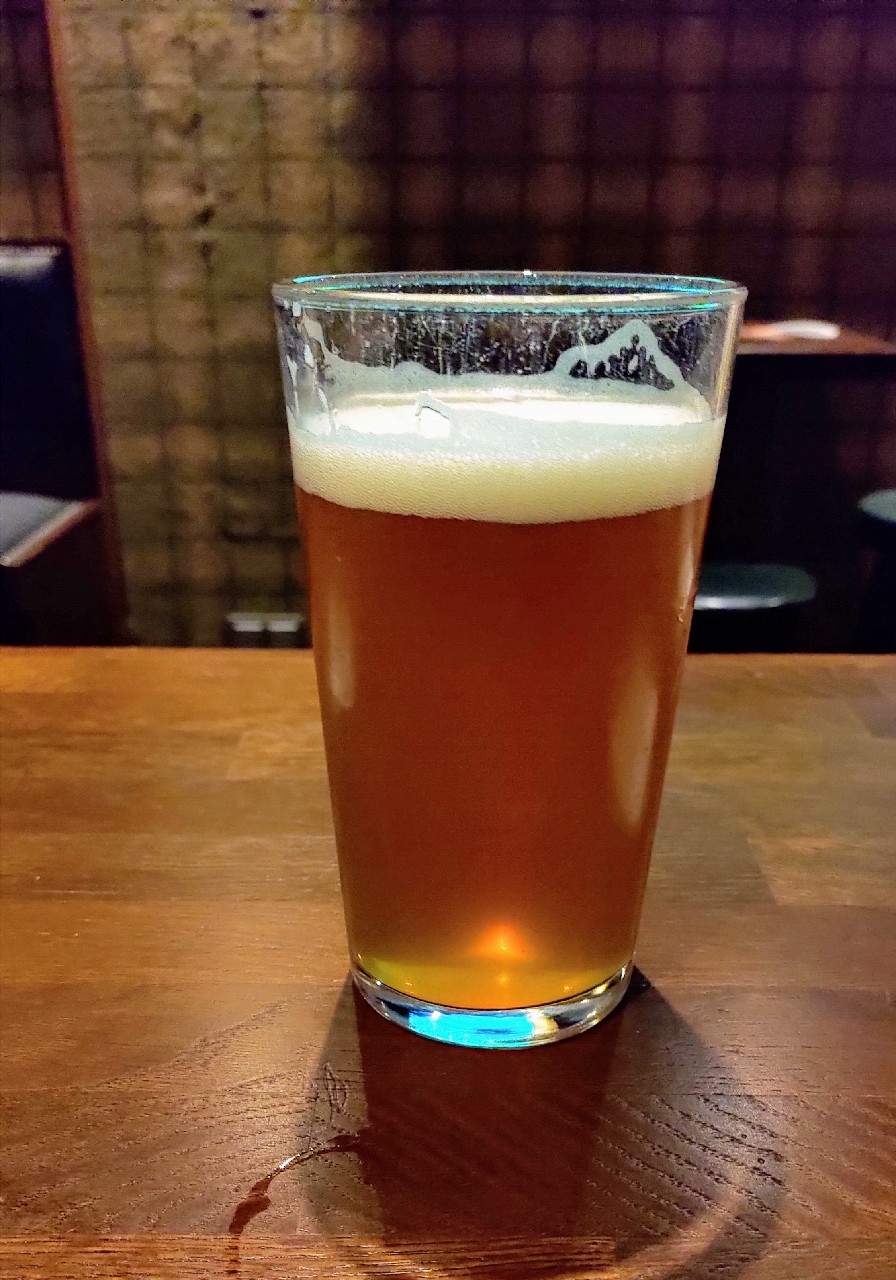 Space Pope IPA, United States