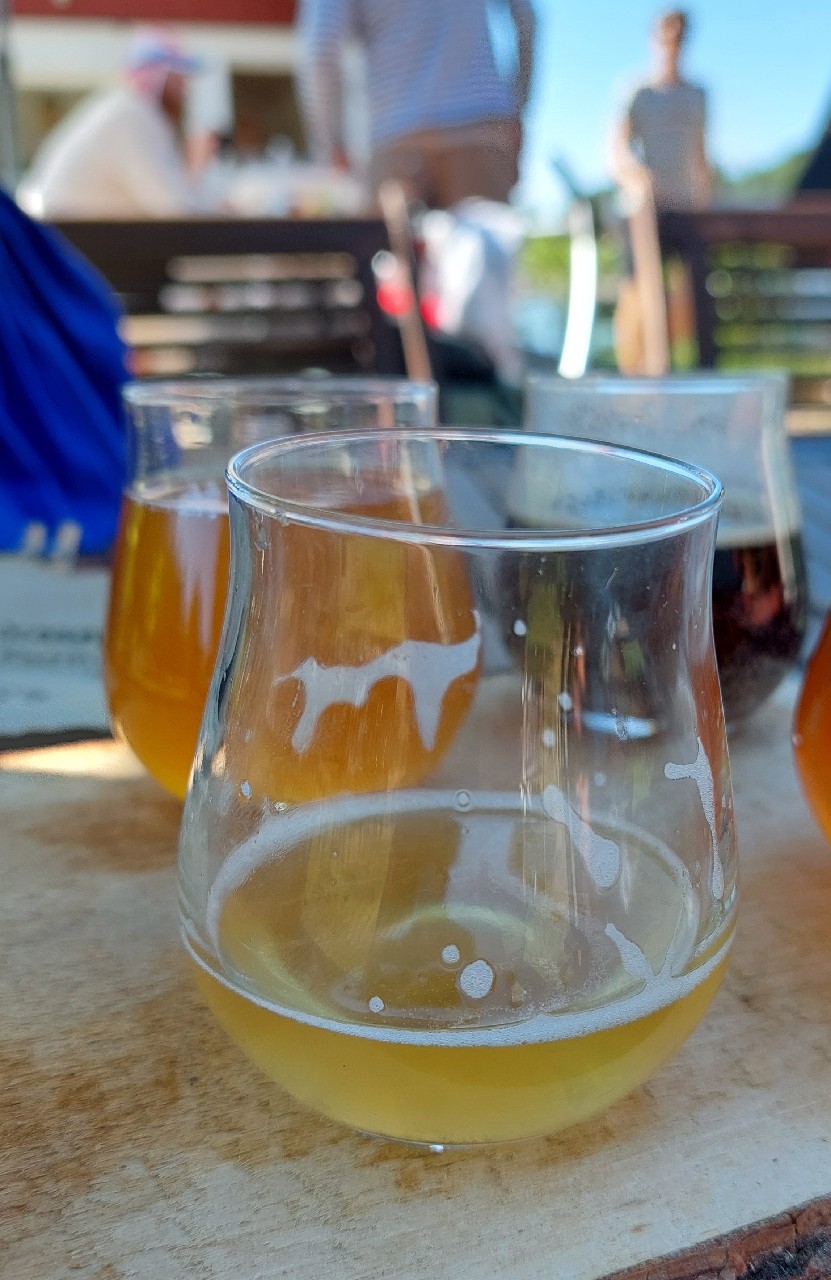 Viking wheat, Finland