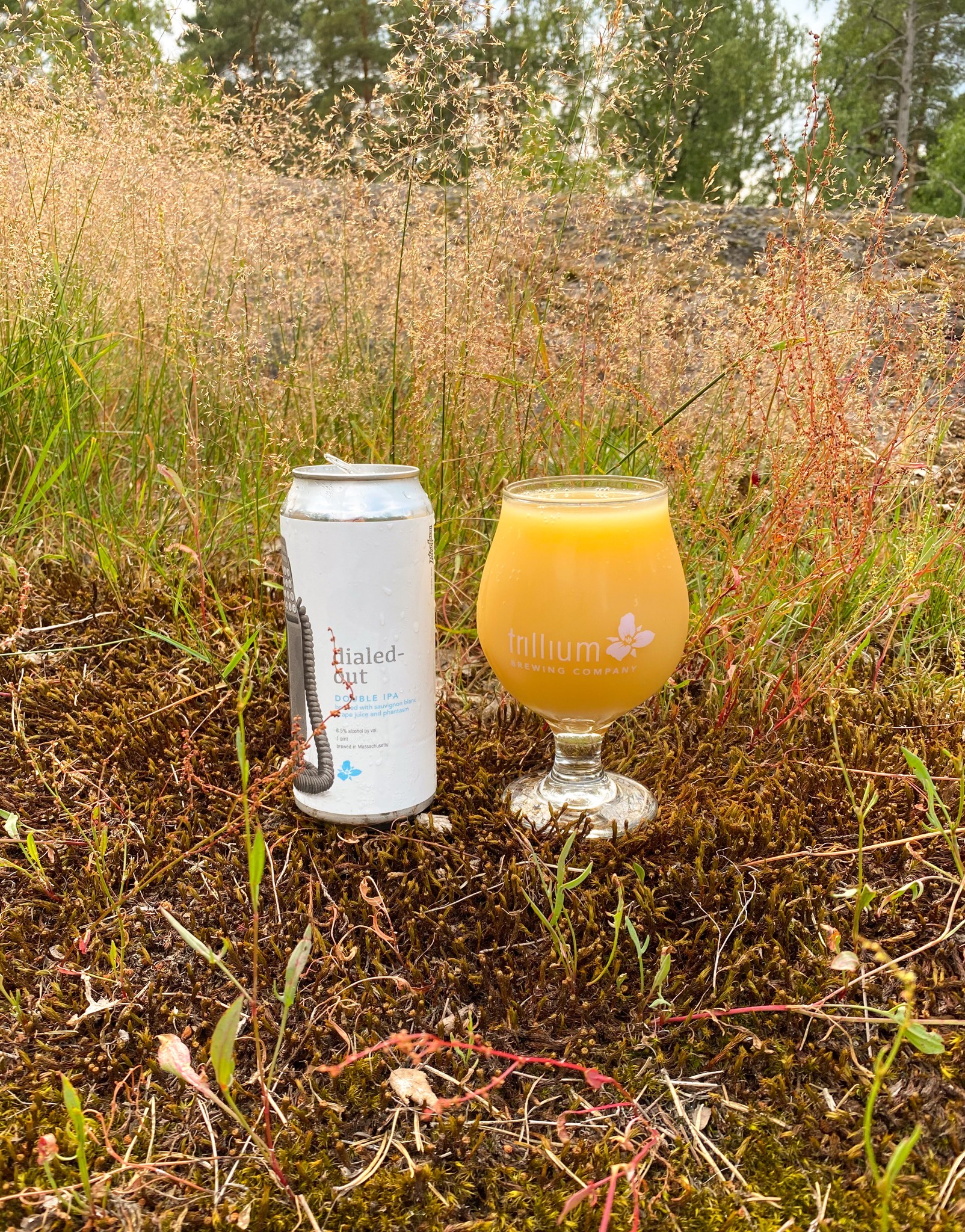 Dialed-Out, United States