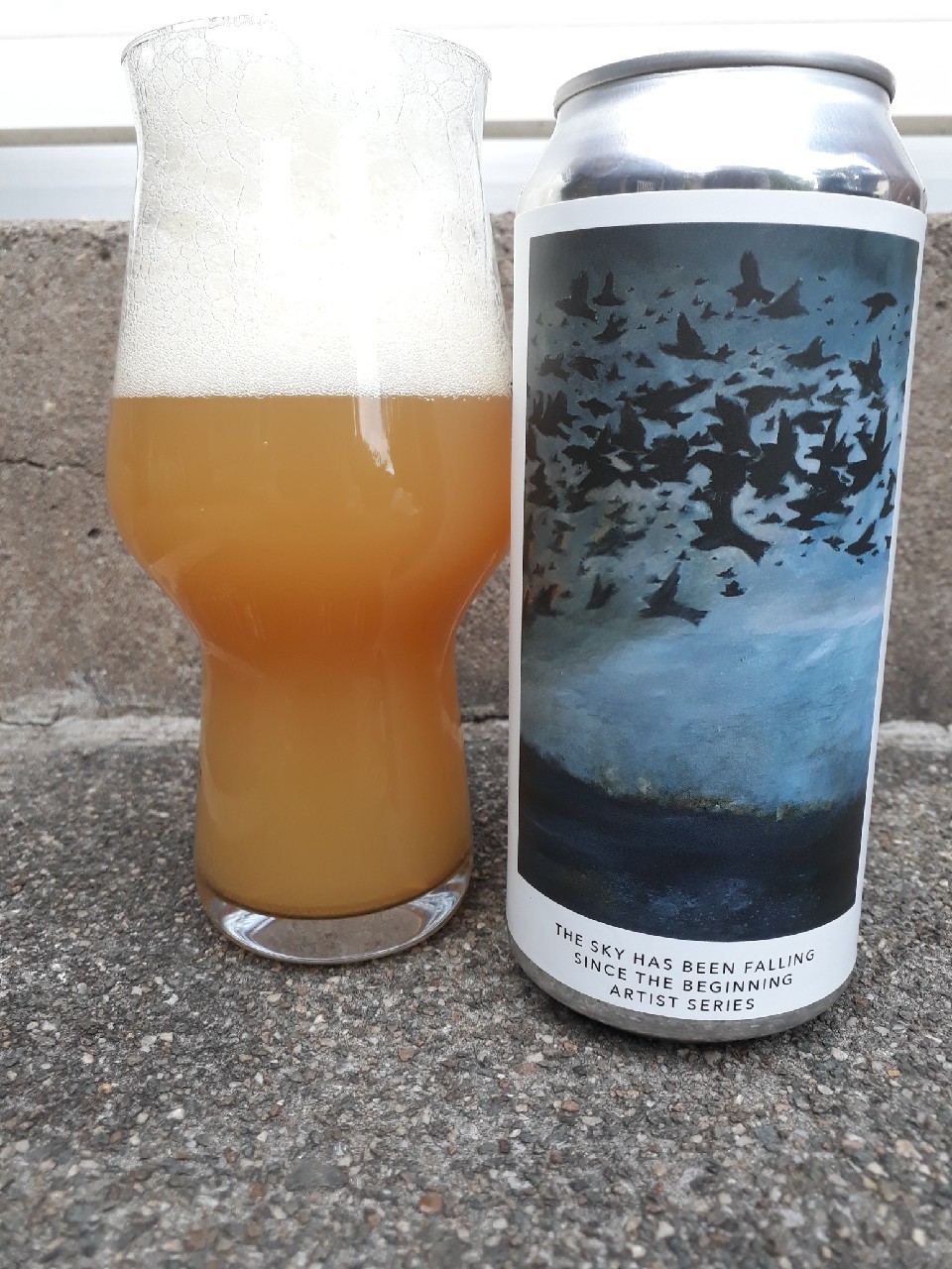 The Sky Has Been Falling Since The Beginning - Artist Series, United States