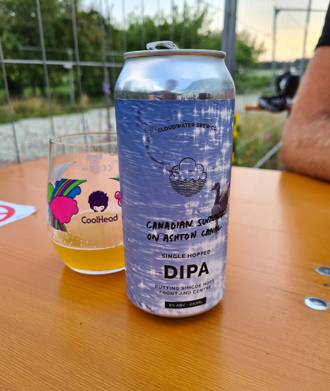 Canadian Summer On Ashton Canal, England