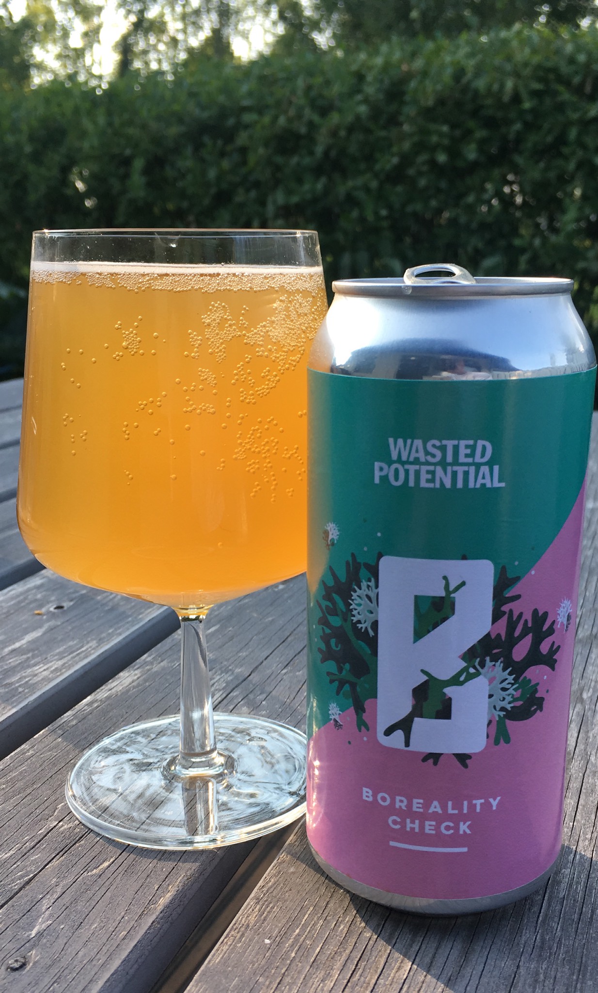 Boreality Check, Finland