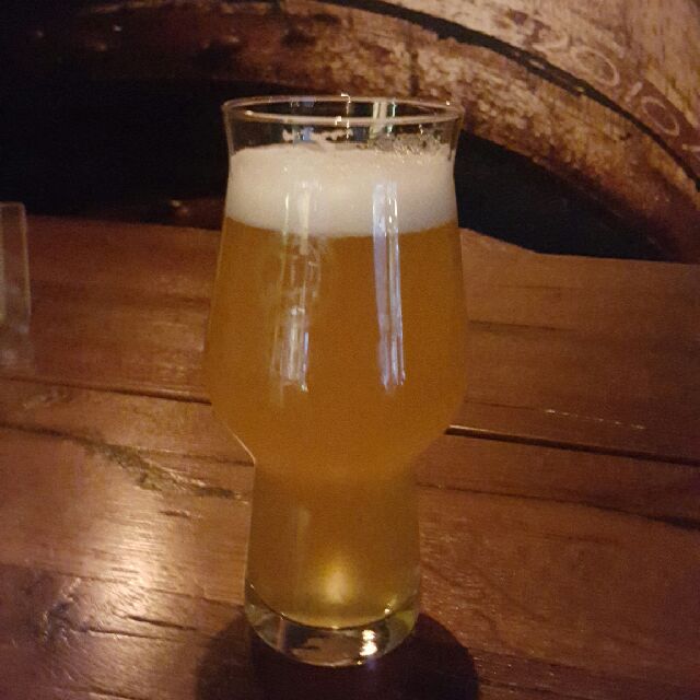 H.O.P. 2017, Finland