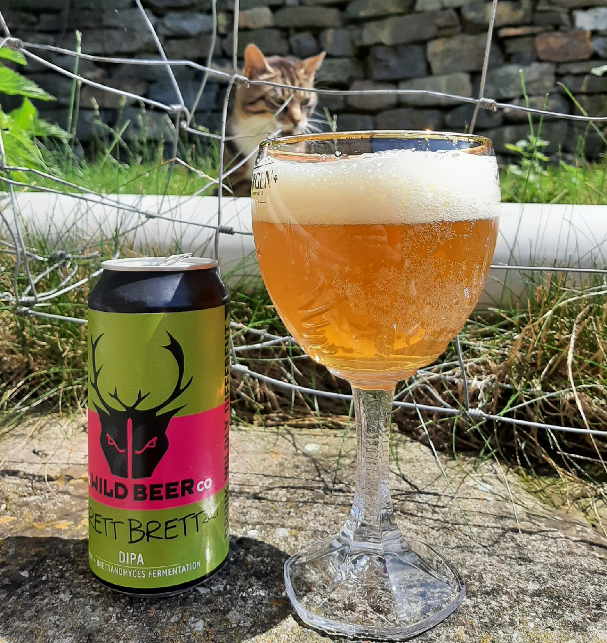 brett brett 2021, England