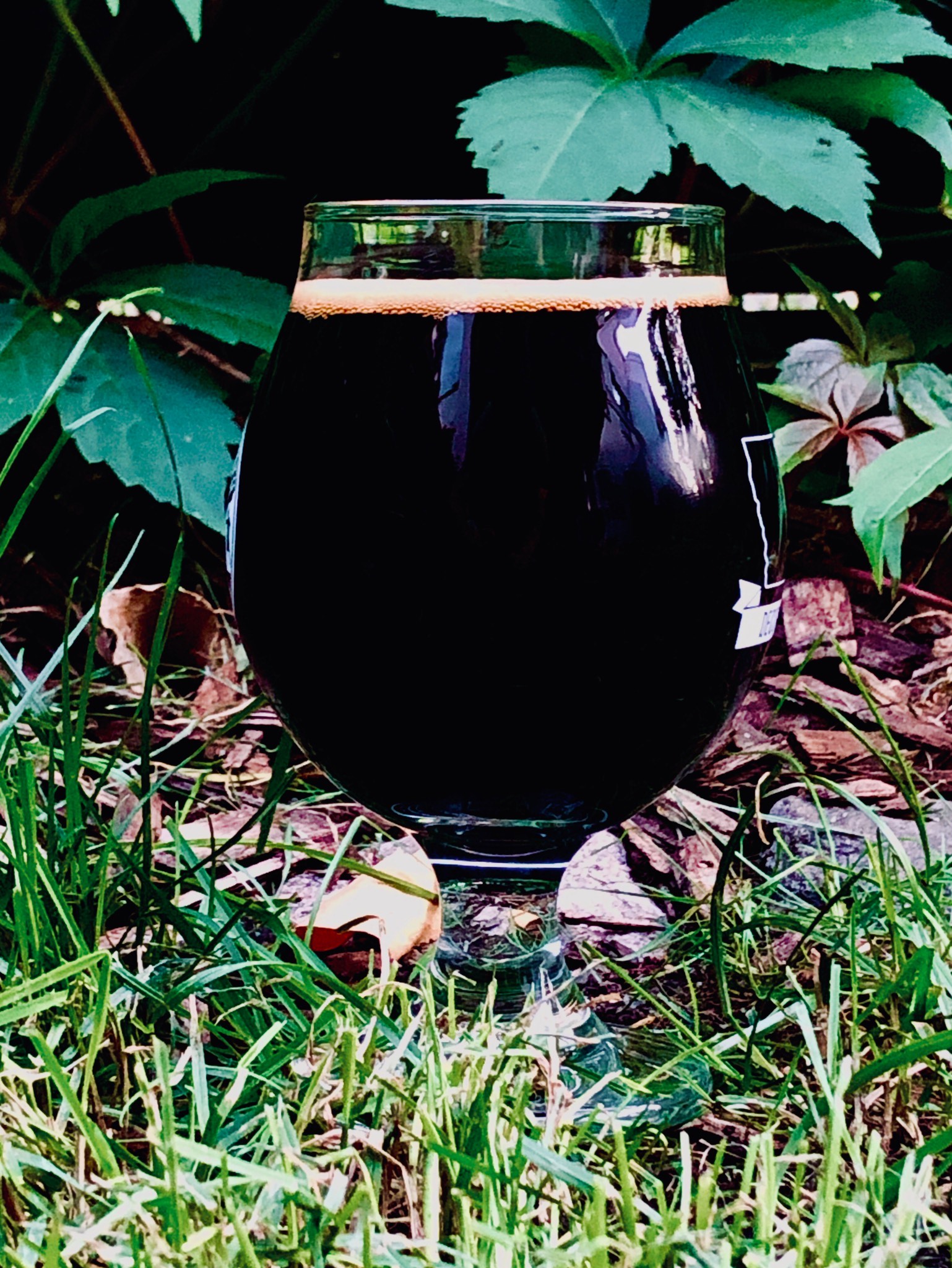 Cluster F%*k, United States