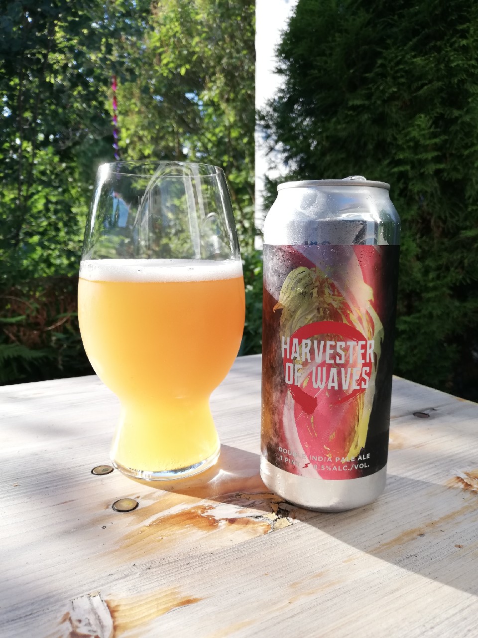 Harvester Of Waves, United States