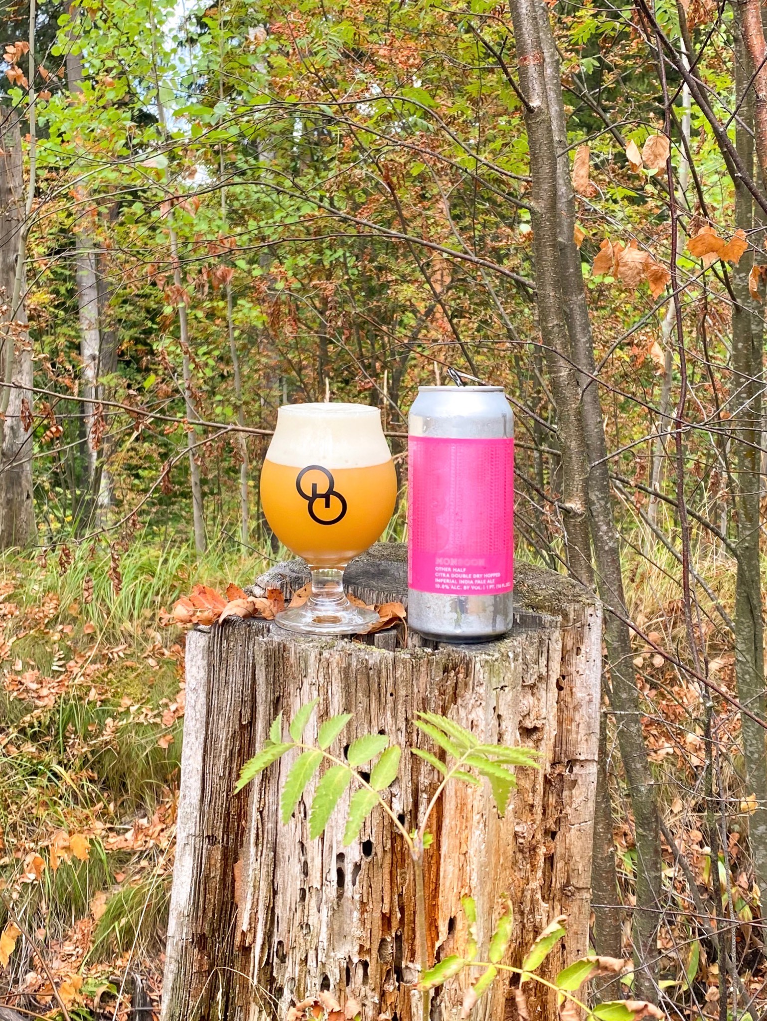 Double Dry Hopped Hop Monsoon w/Citra, United States