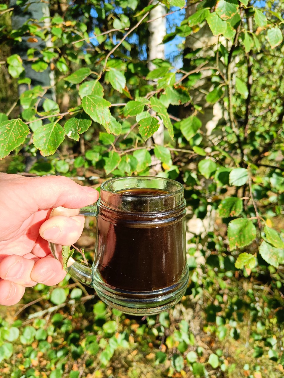 Enchanting Genome of Sahti: Black + Caramel, Finland