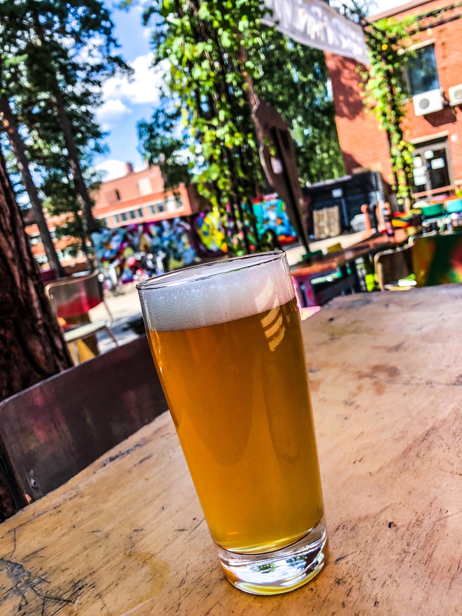 Mic Check!!! DDH Mosaic IPA, Finland