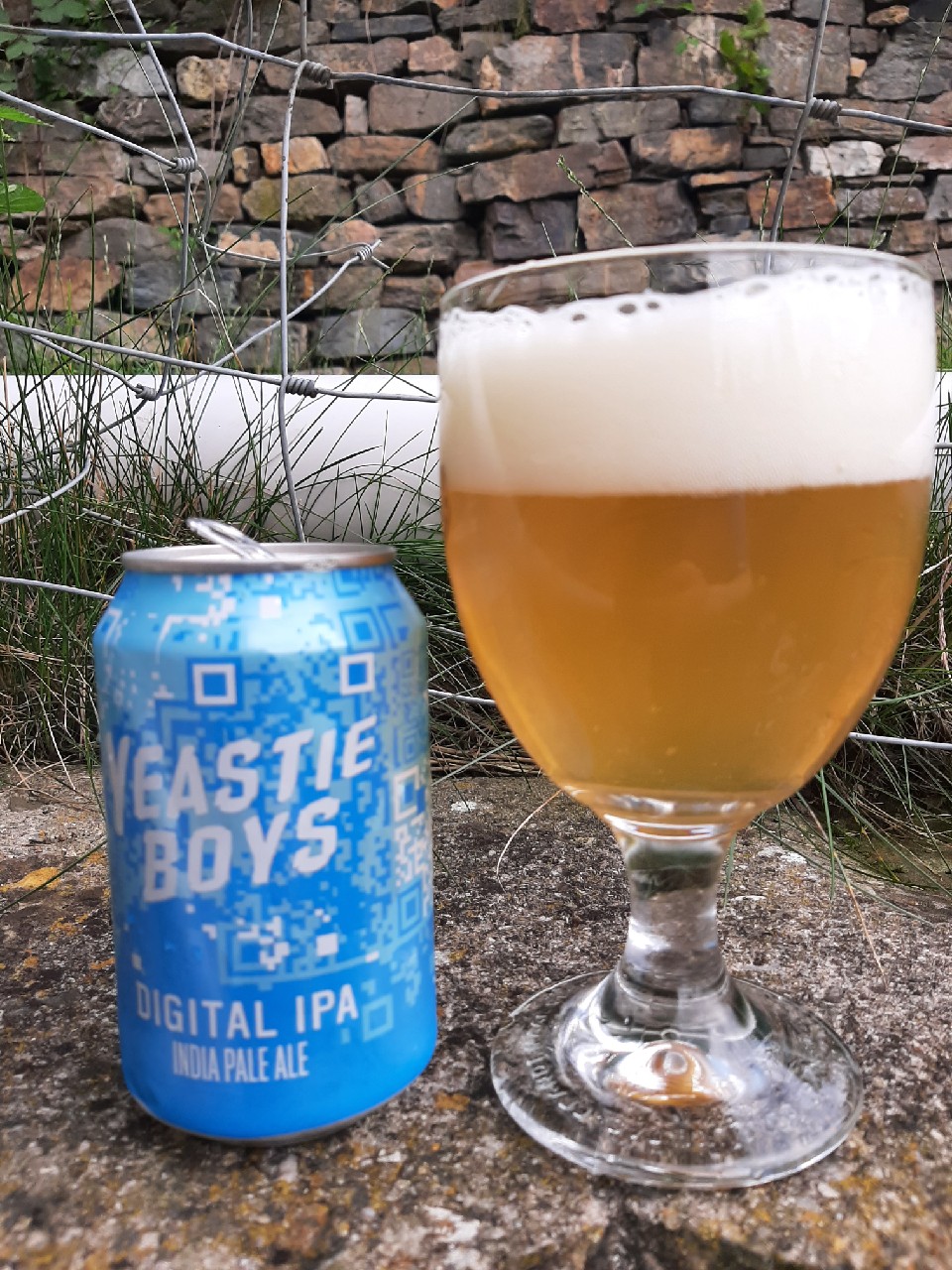 Digital IPA, New Zealand