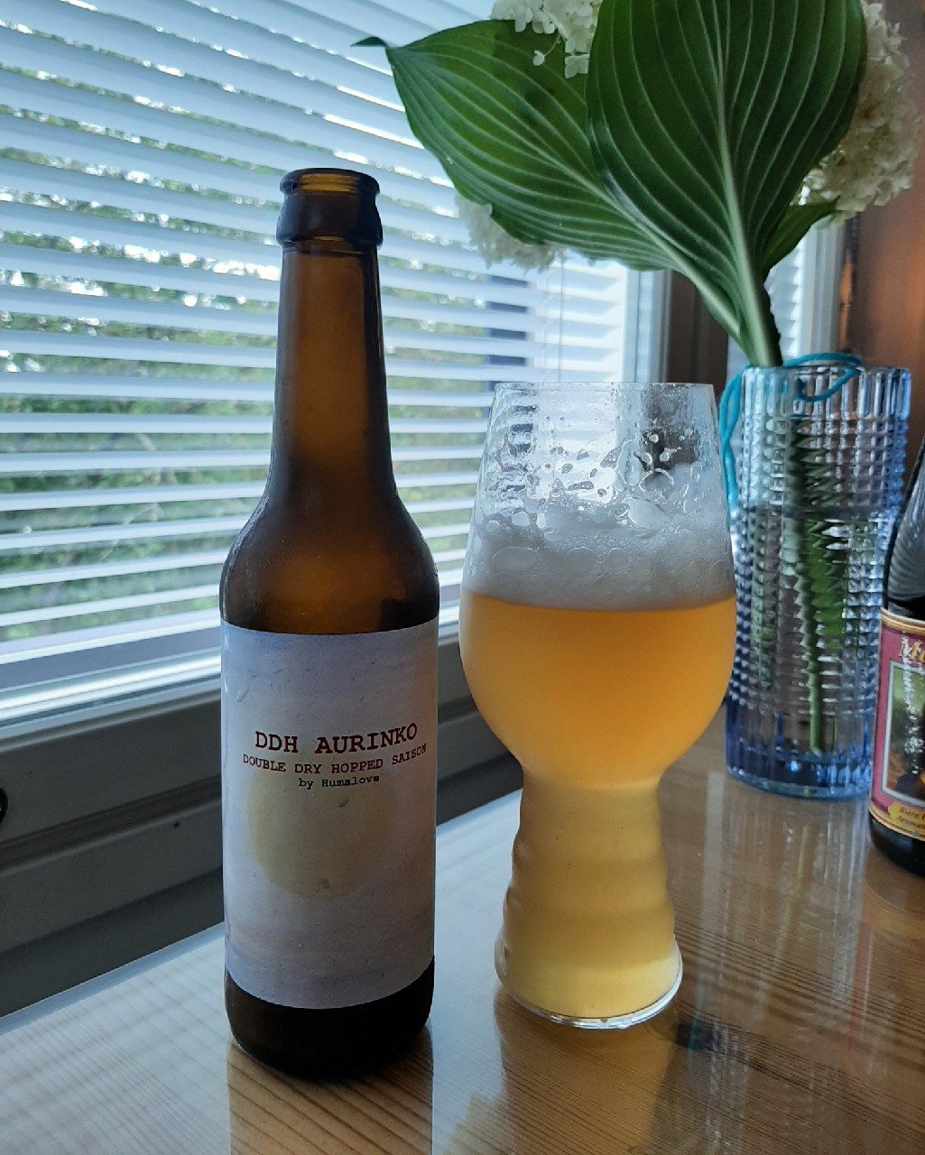 DDH Aurinko, Finland