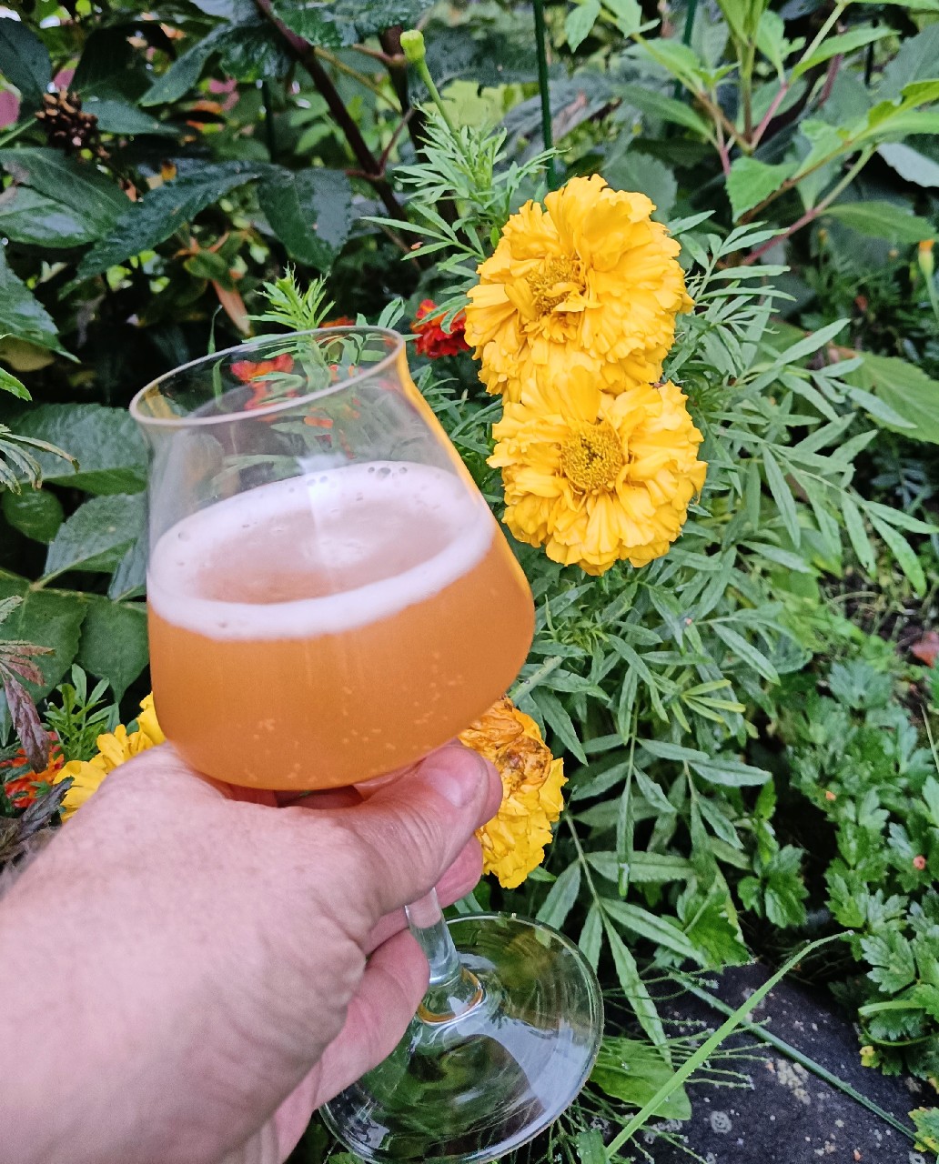 Peach Vitamin, Finland