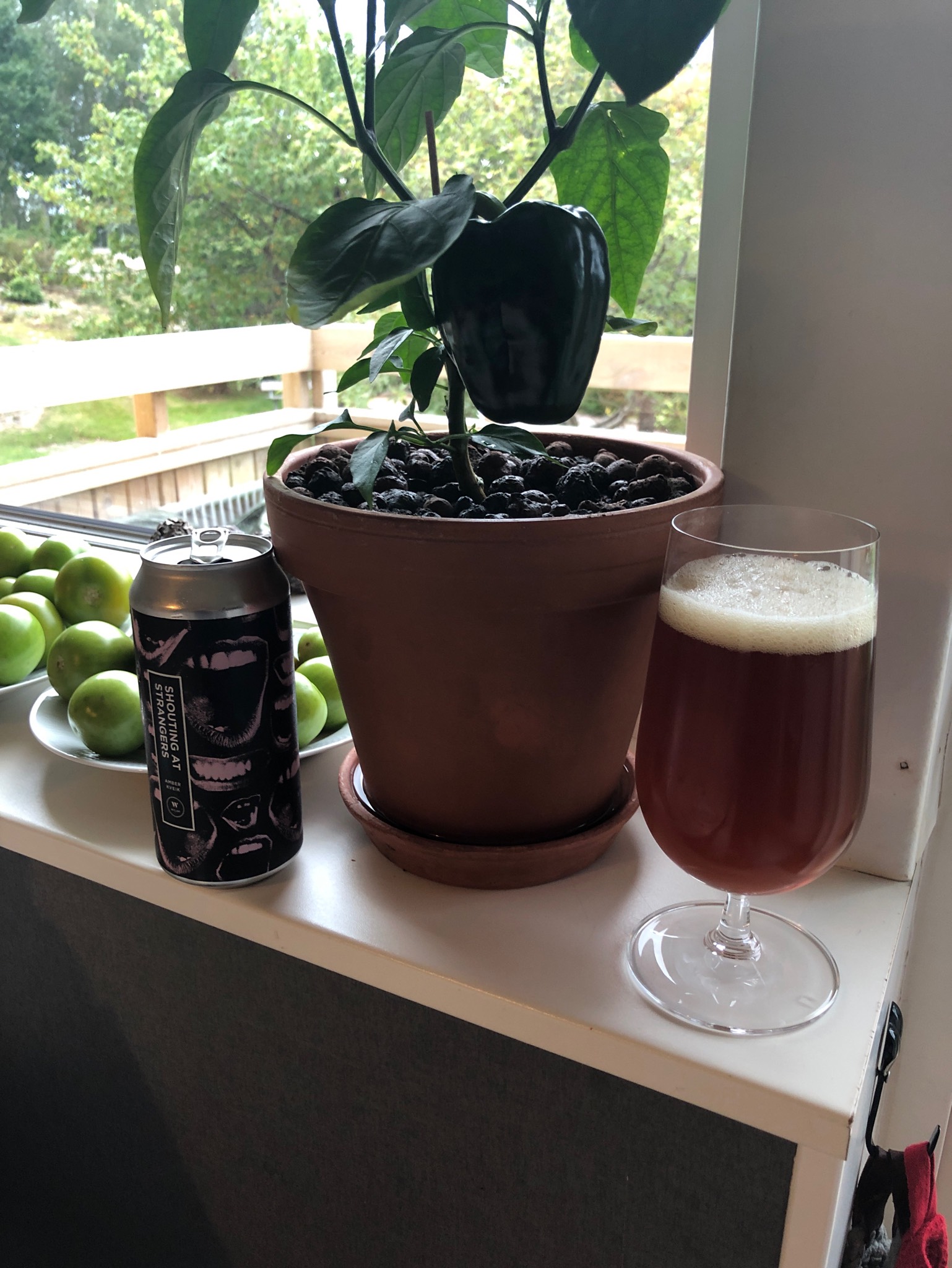 Shouting At Strangers, England