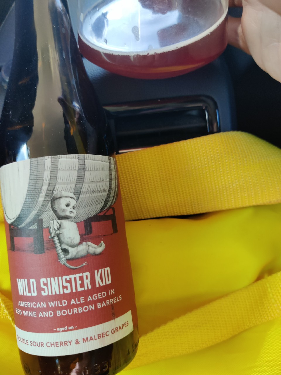 Wild Sinister Kid: Double Sour Cherry & Malbec Grapes, United States