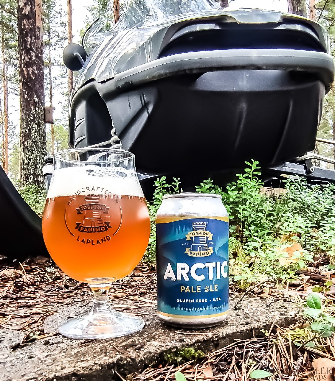 Artic Pale Ale Gluteeniton, Finland