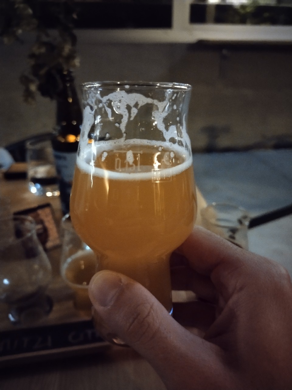 Odptra Liga (OL) #29, Slovenia