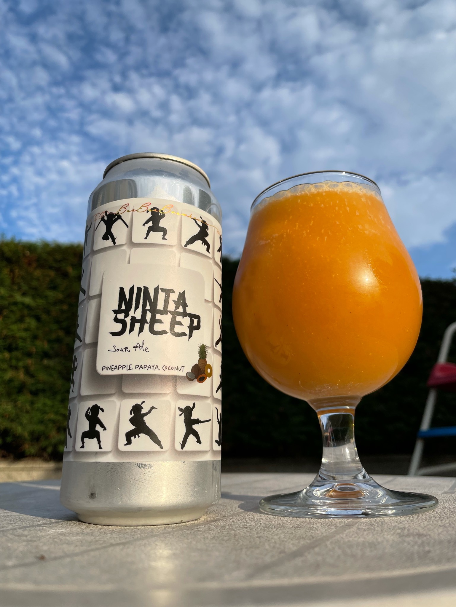 Ninja Sheep - Pineapple, Papaya, Coconut, United States