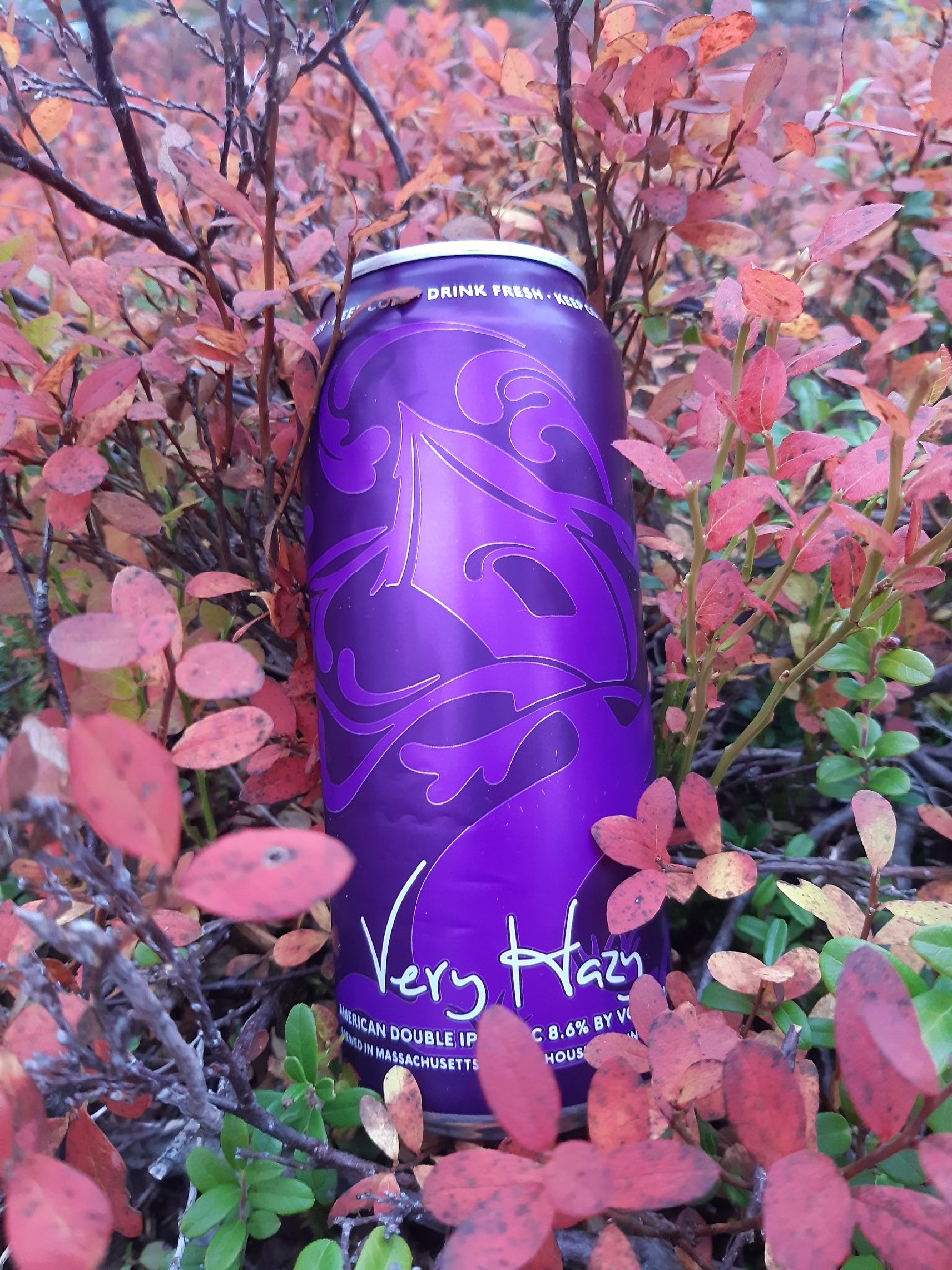 Very Hazy, United States