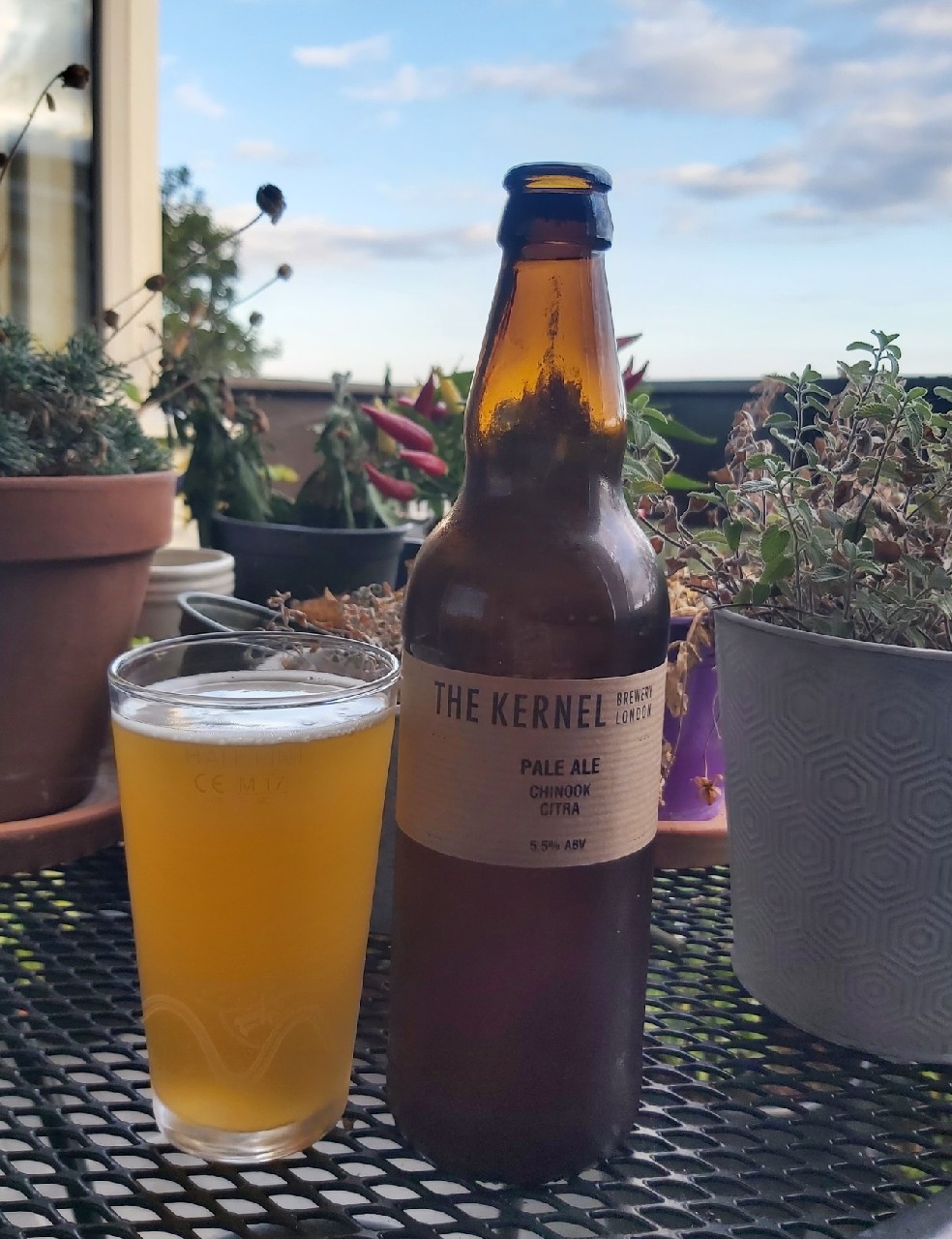 Pale Ale Chinook Citra, England