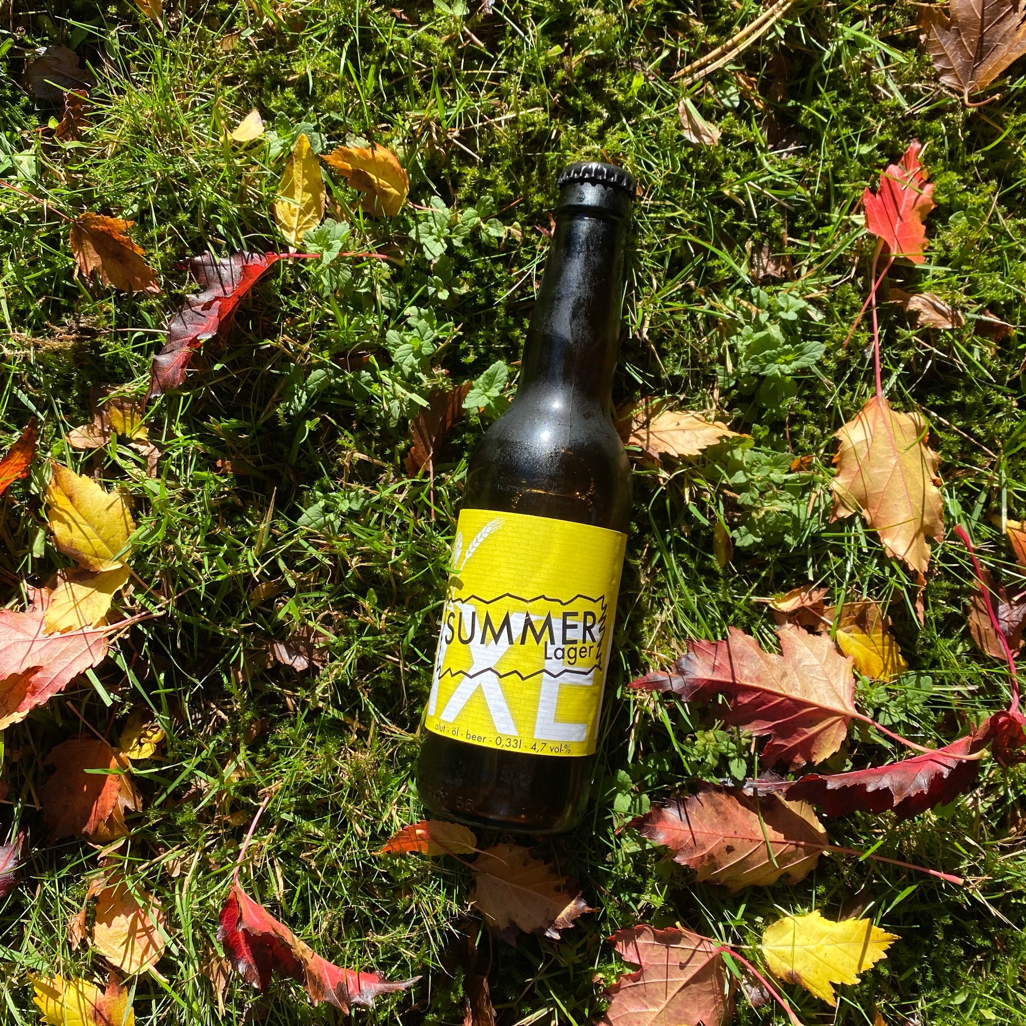 Summer Lager, Finland