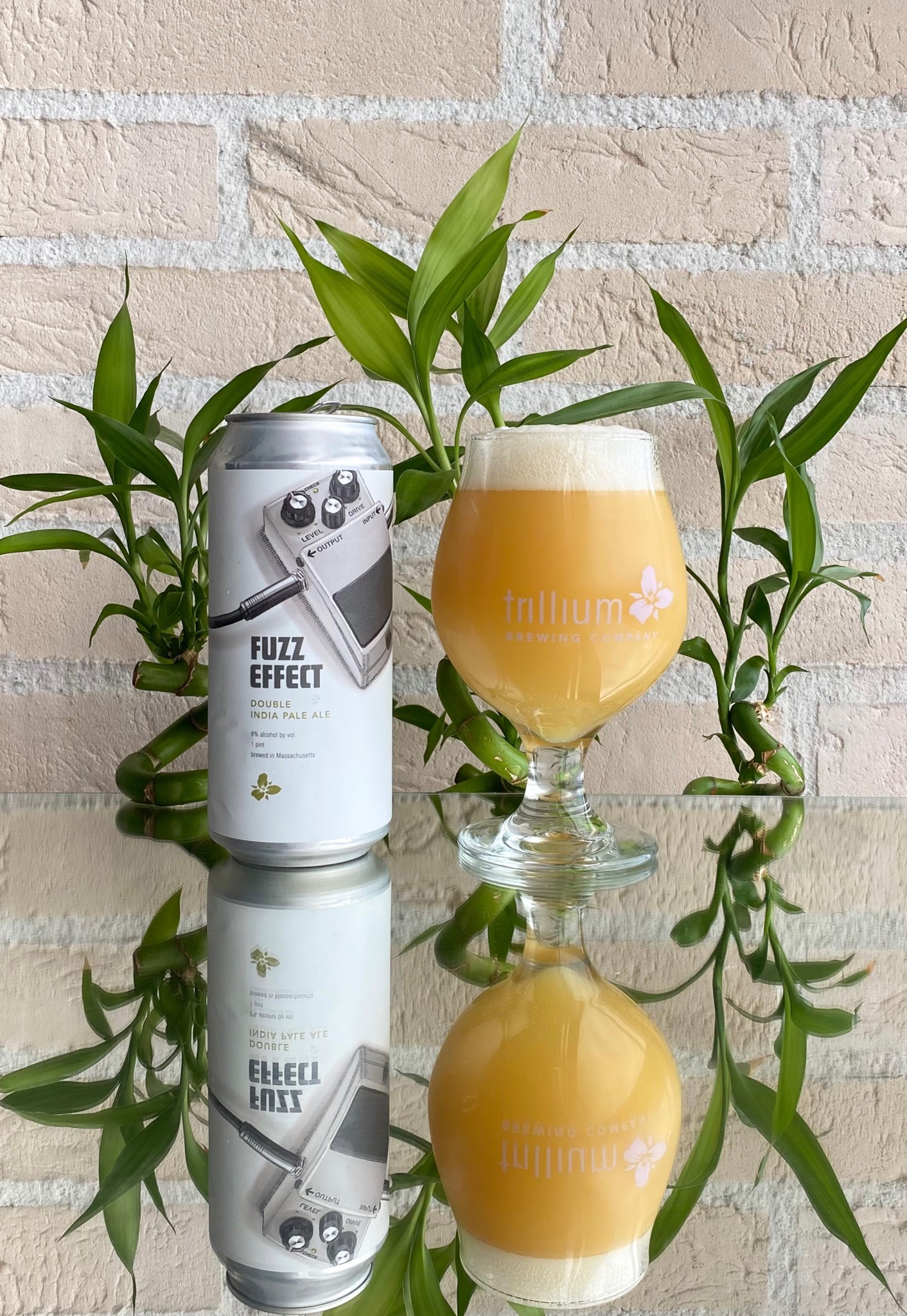 Fuzz Effect, United States