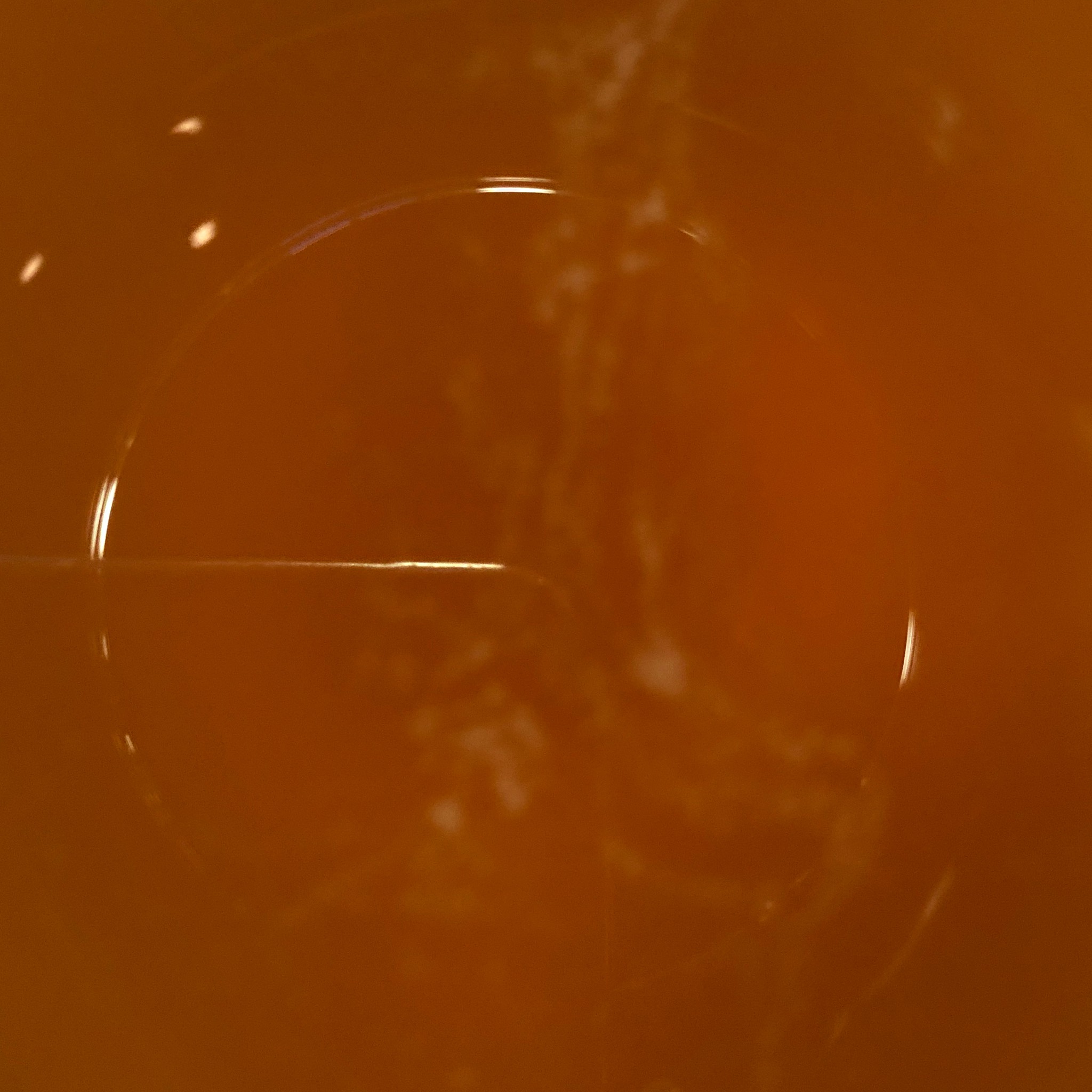 Flaamiainen, Finland