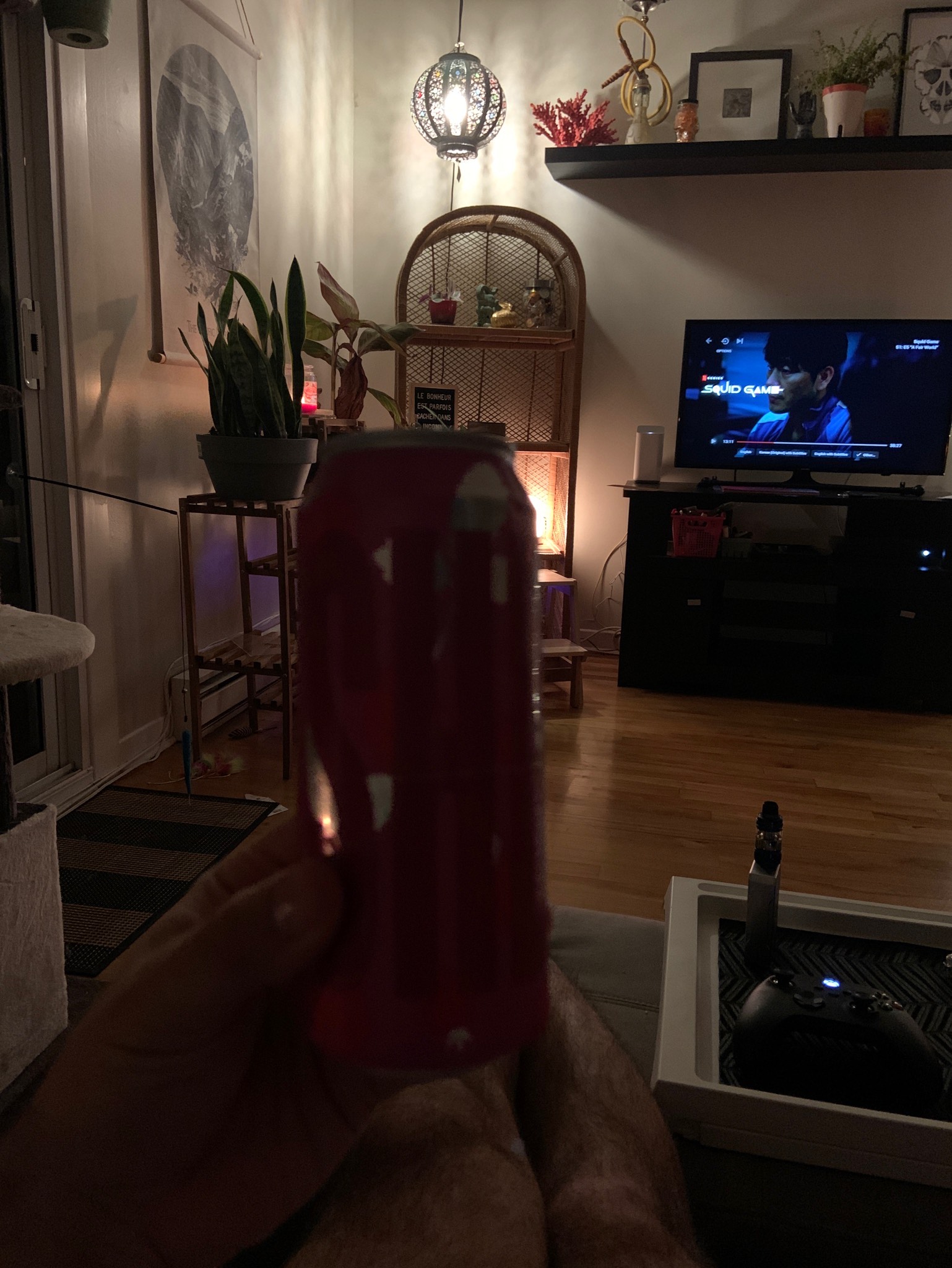 Shelton Sure aux framboises, Canada